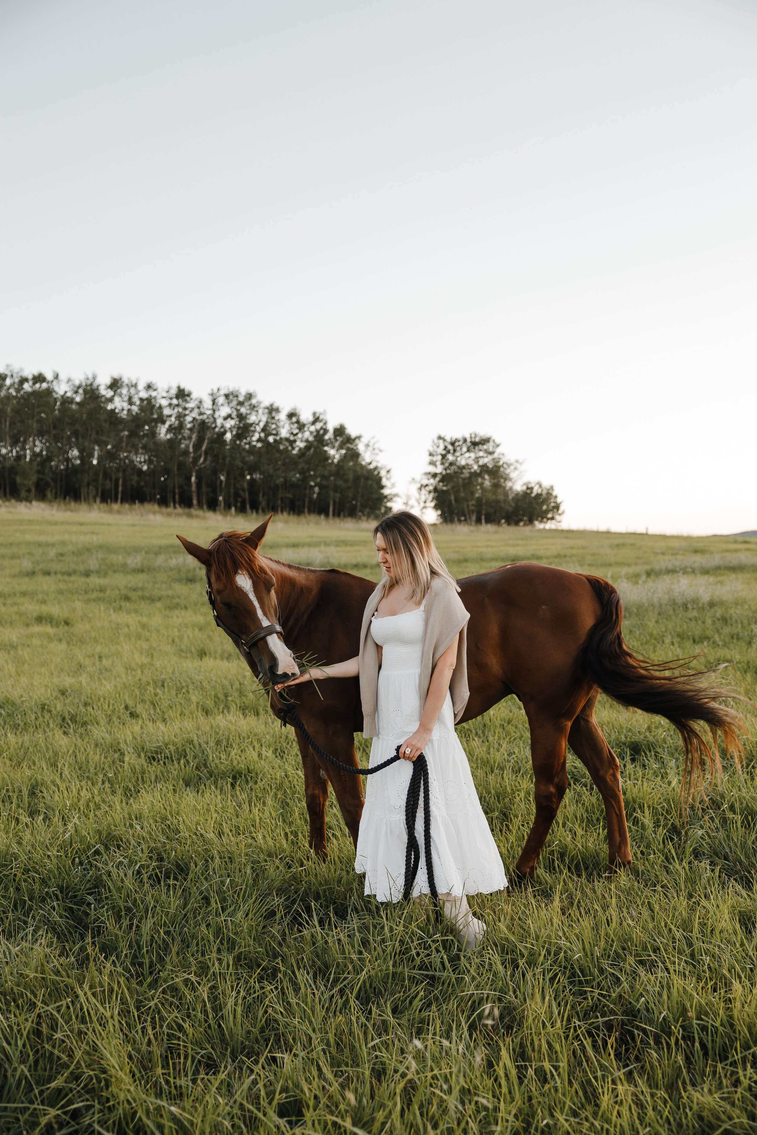 Maria. Sunset photoshoot with hourse