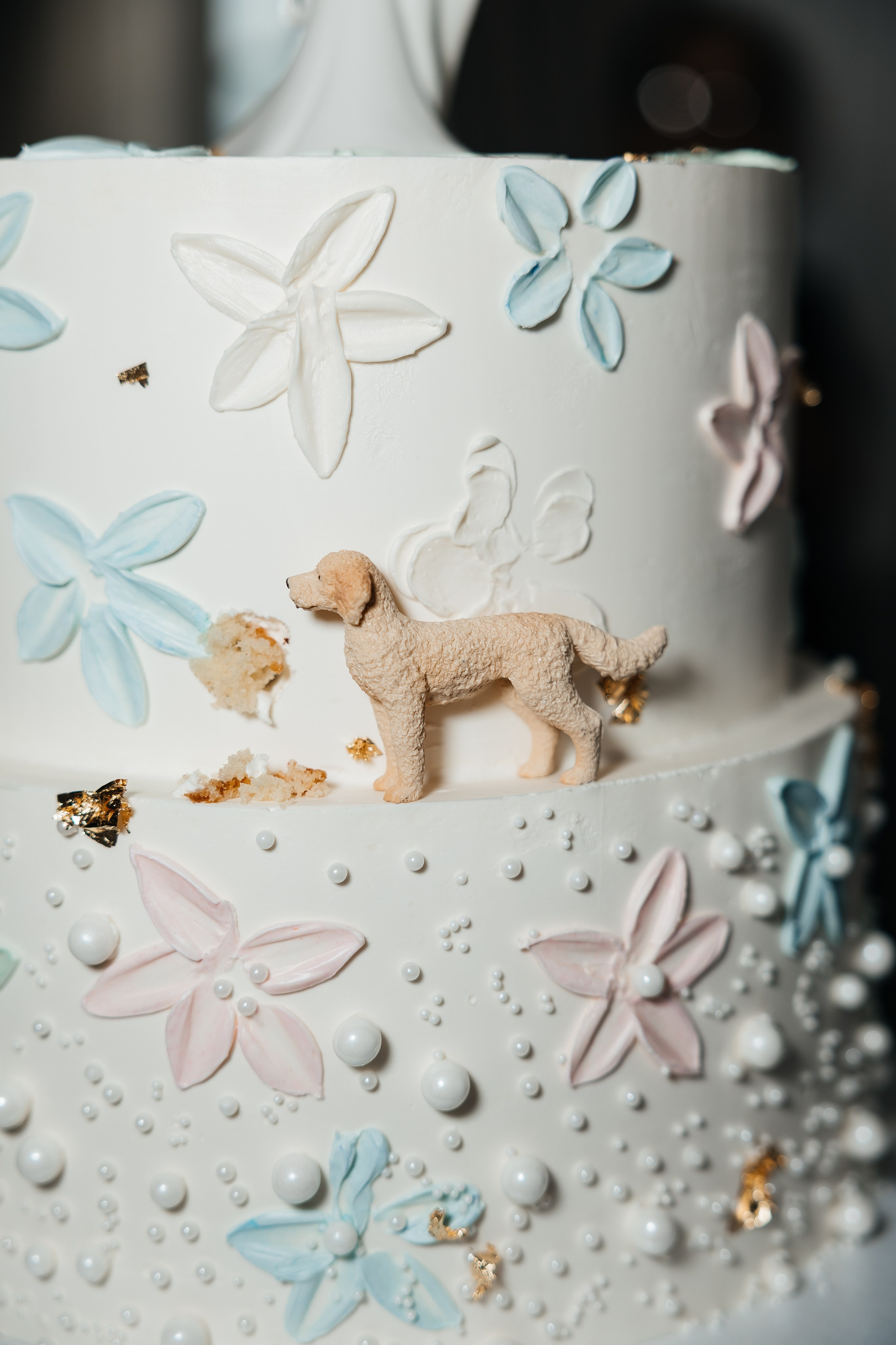 Laura&Roberto. Affordable Photographer in Calgary — Tetiana Shuhai