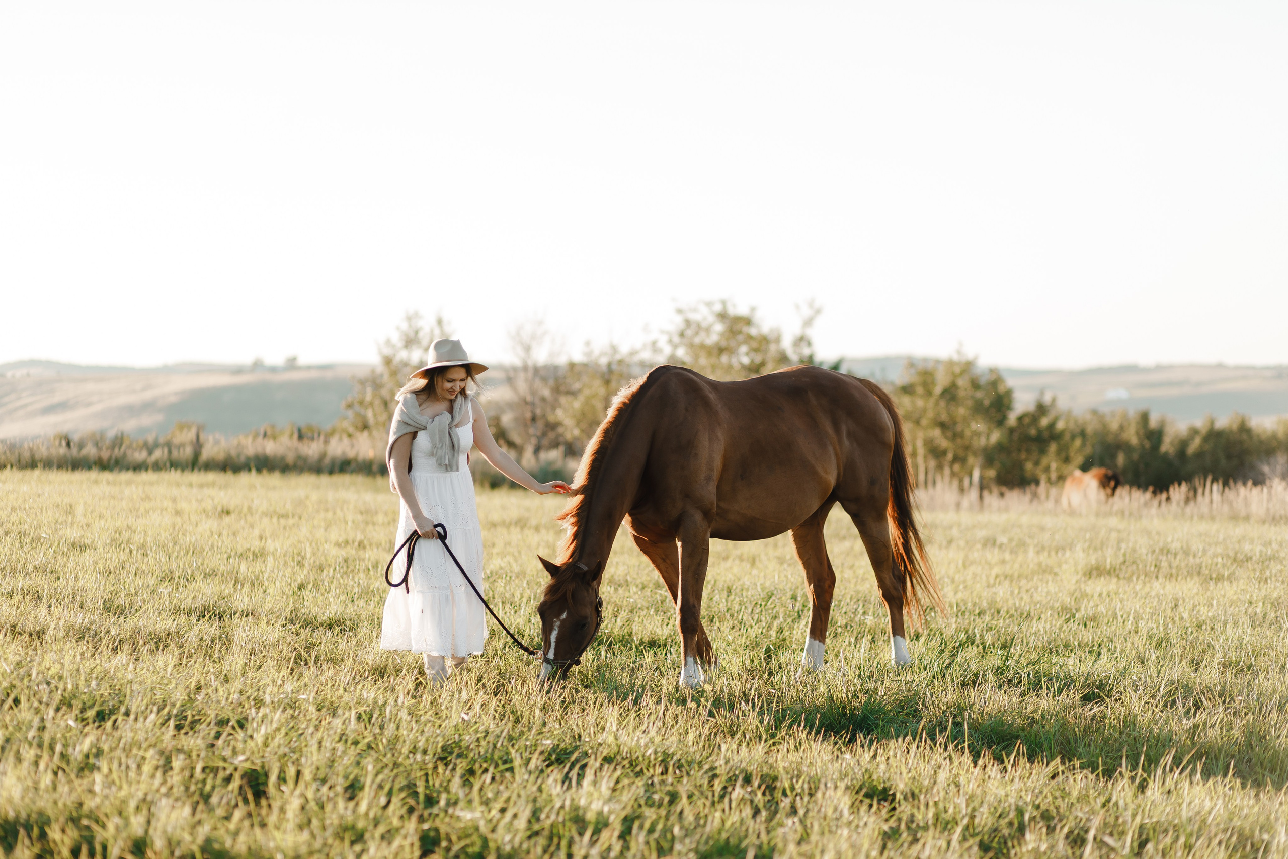 Maria. Sunset photoshoot with hourse
