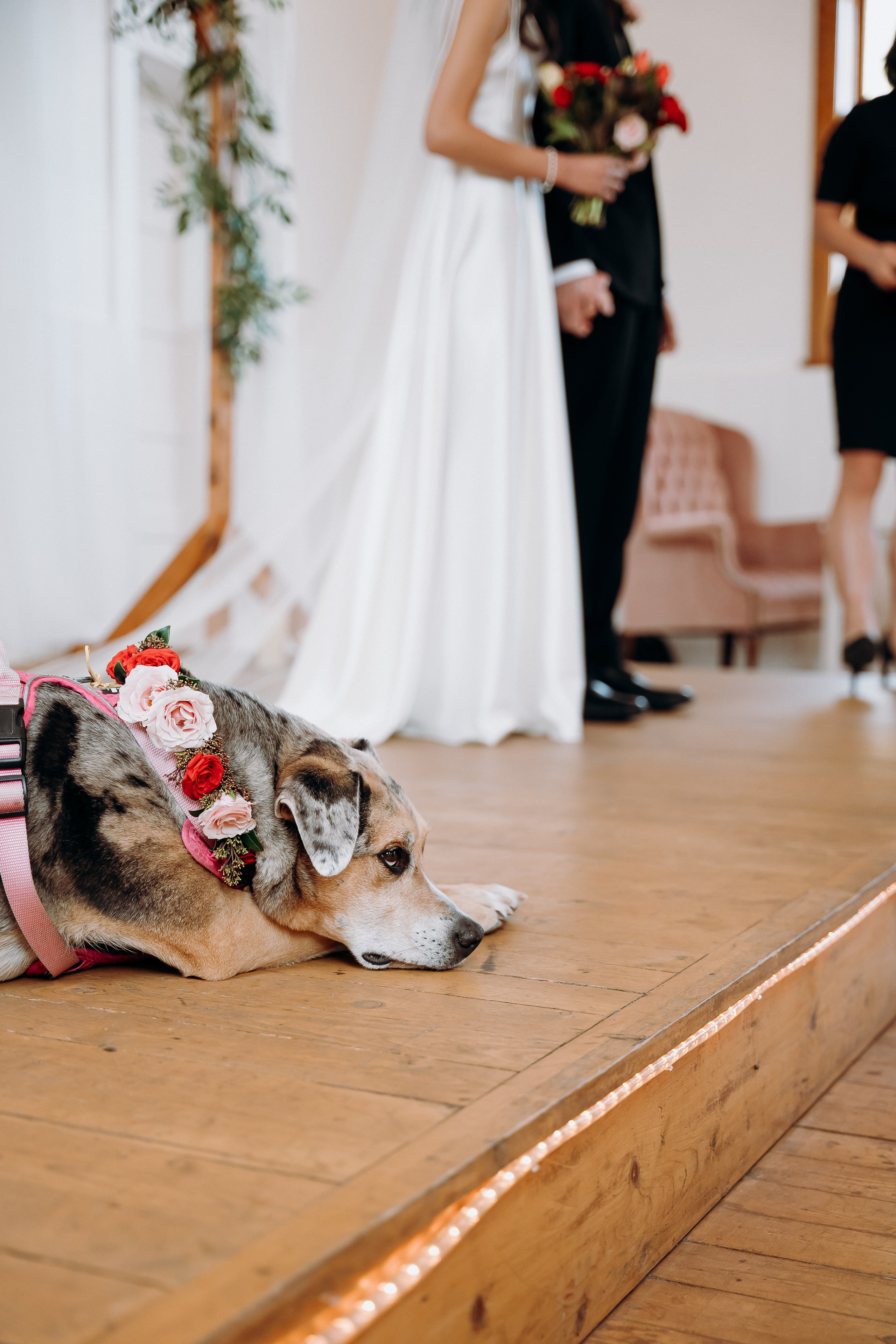 Jane. Affordable Photographer in Calgary — Tetiana Shuhai