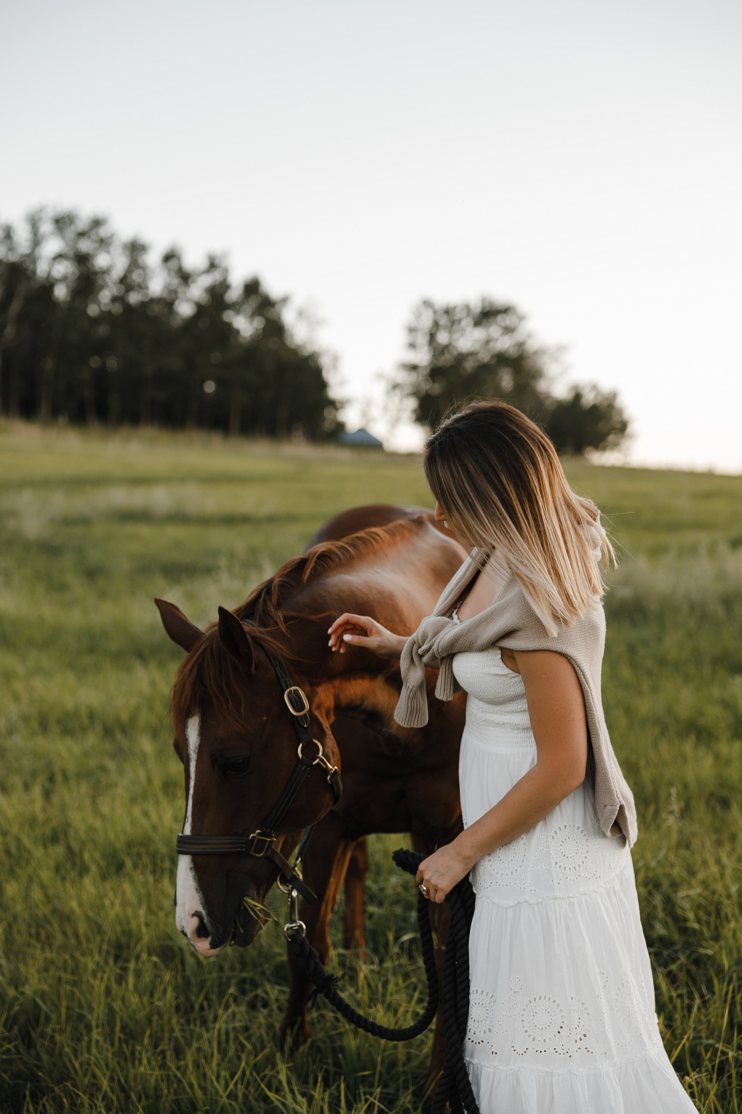 Maria. Sunset photoshoot with hourse