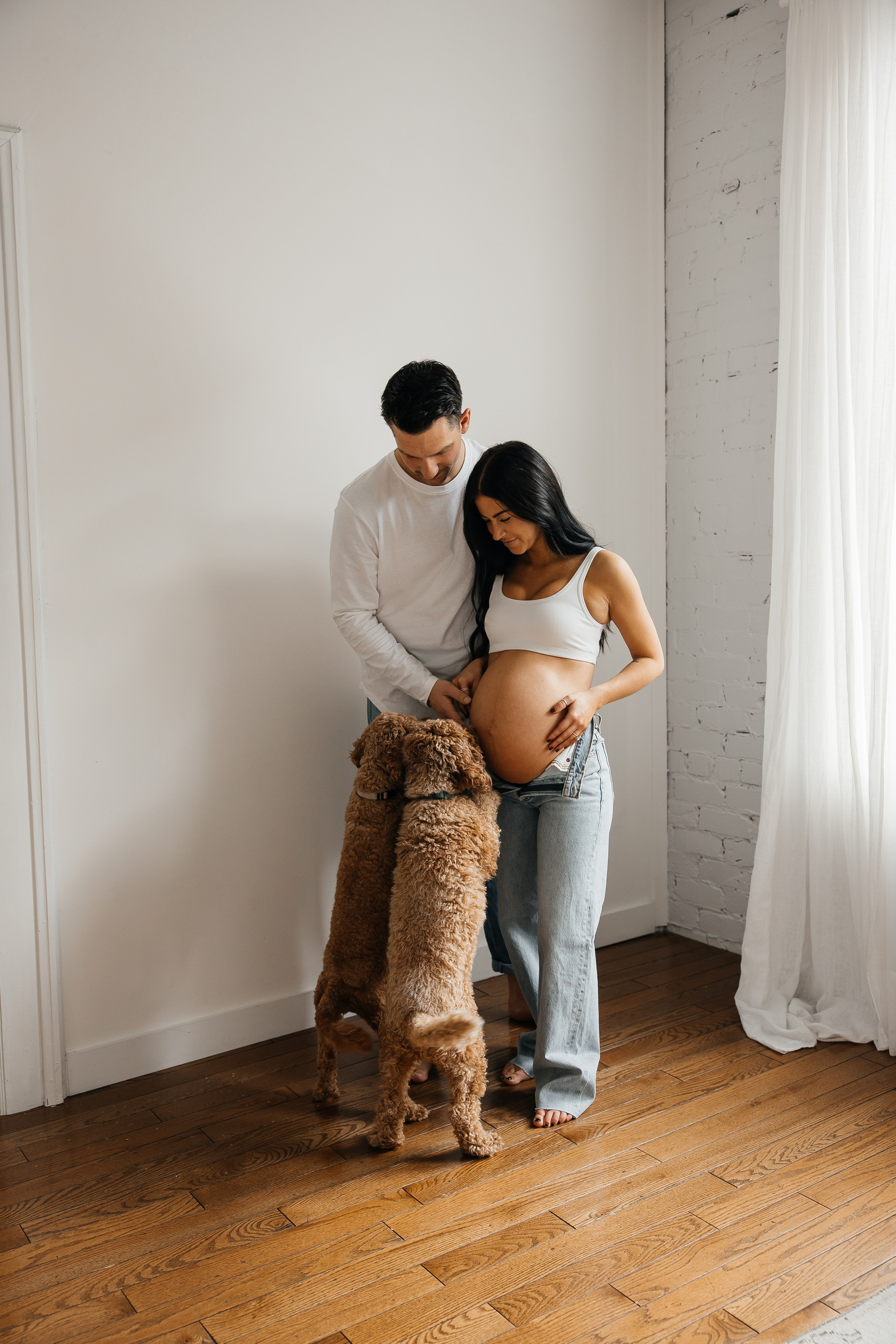 Maternity+2 cute dogs