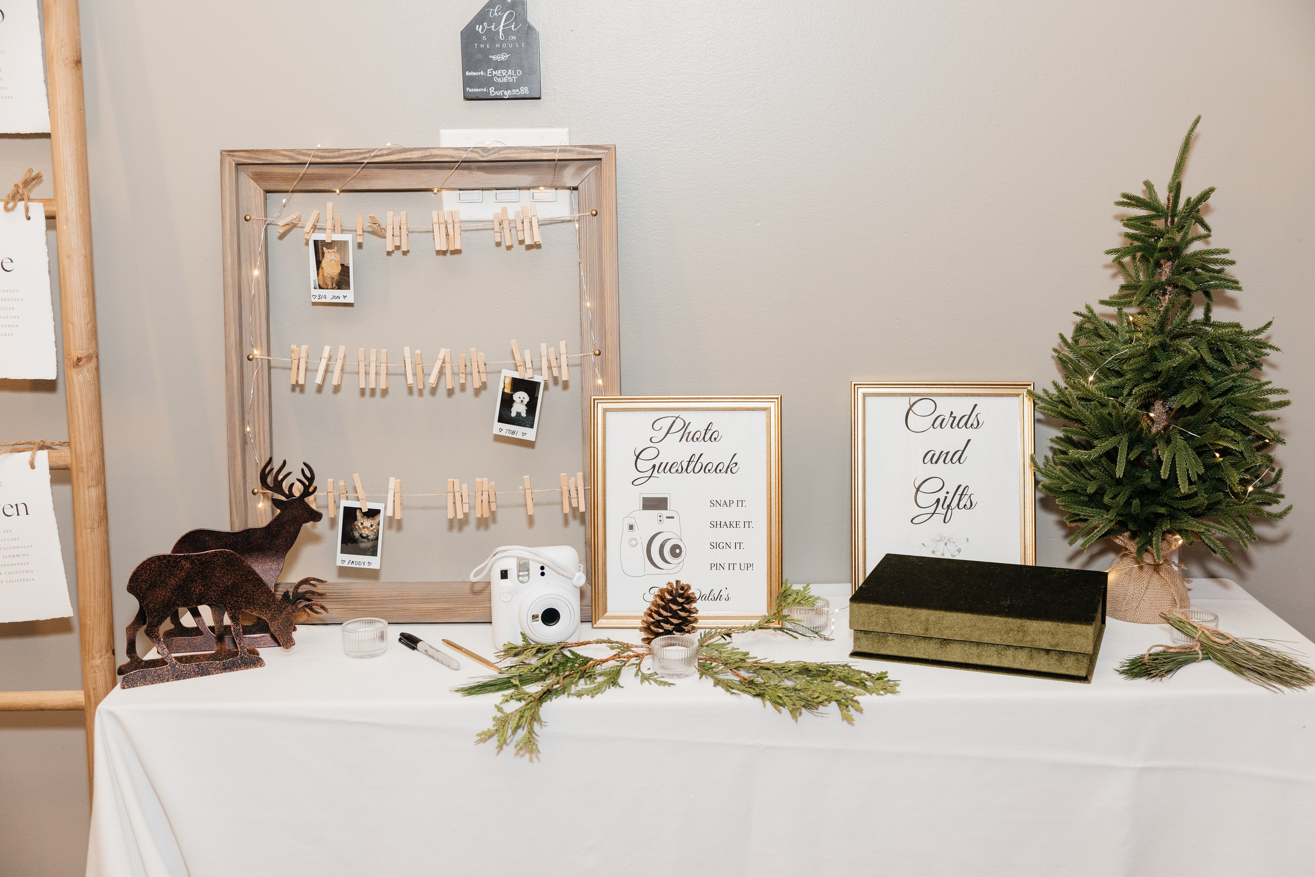 Winter wedding. Emerald lake lodge. Affordable Photographer in Calgary — Tetiana Shuhai