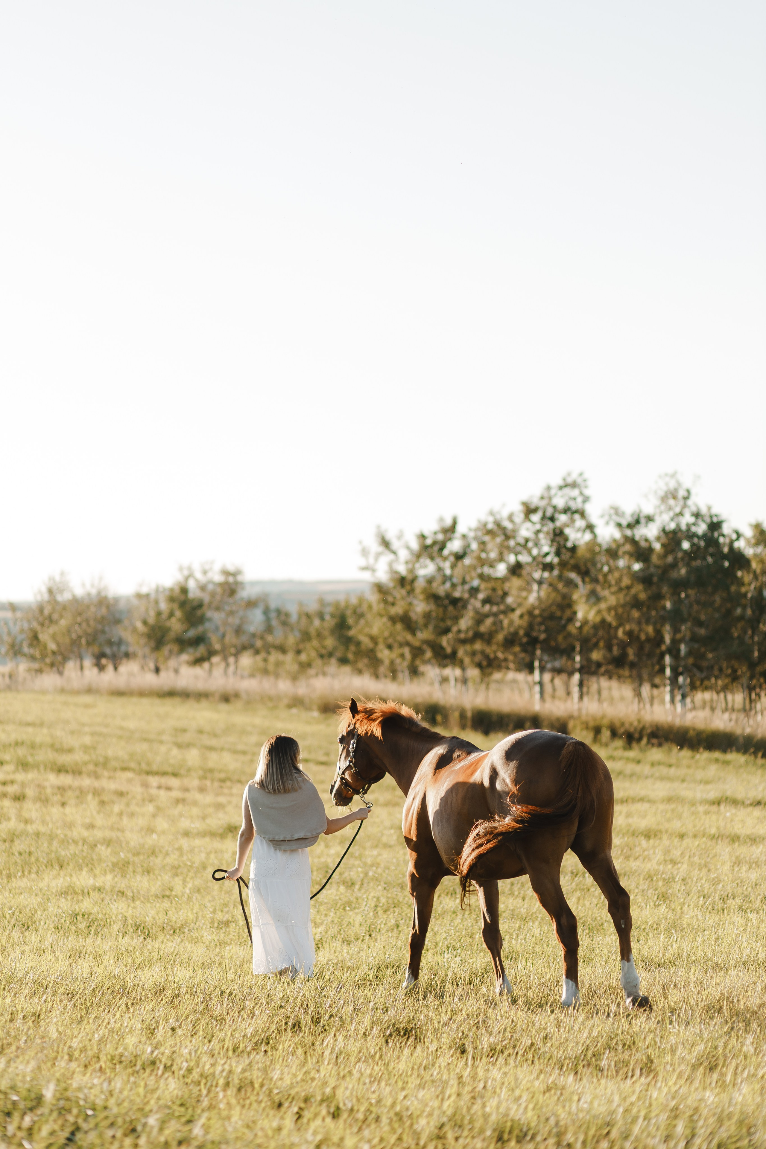 Maria. Sunset photoshoot with hourse