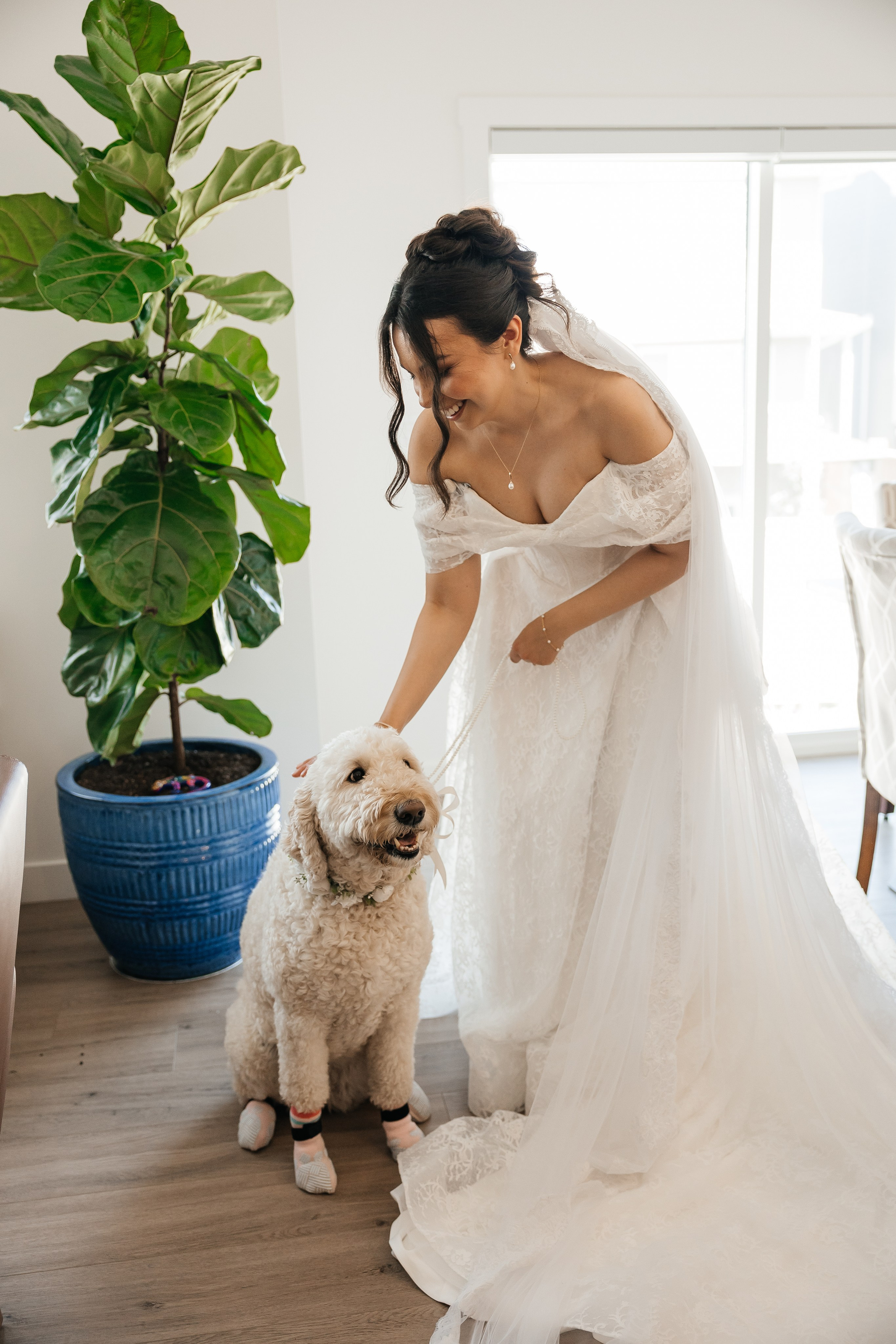 Laura&Roberto. Affordable Photographer in Calgary — Tetiana Shuhai