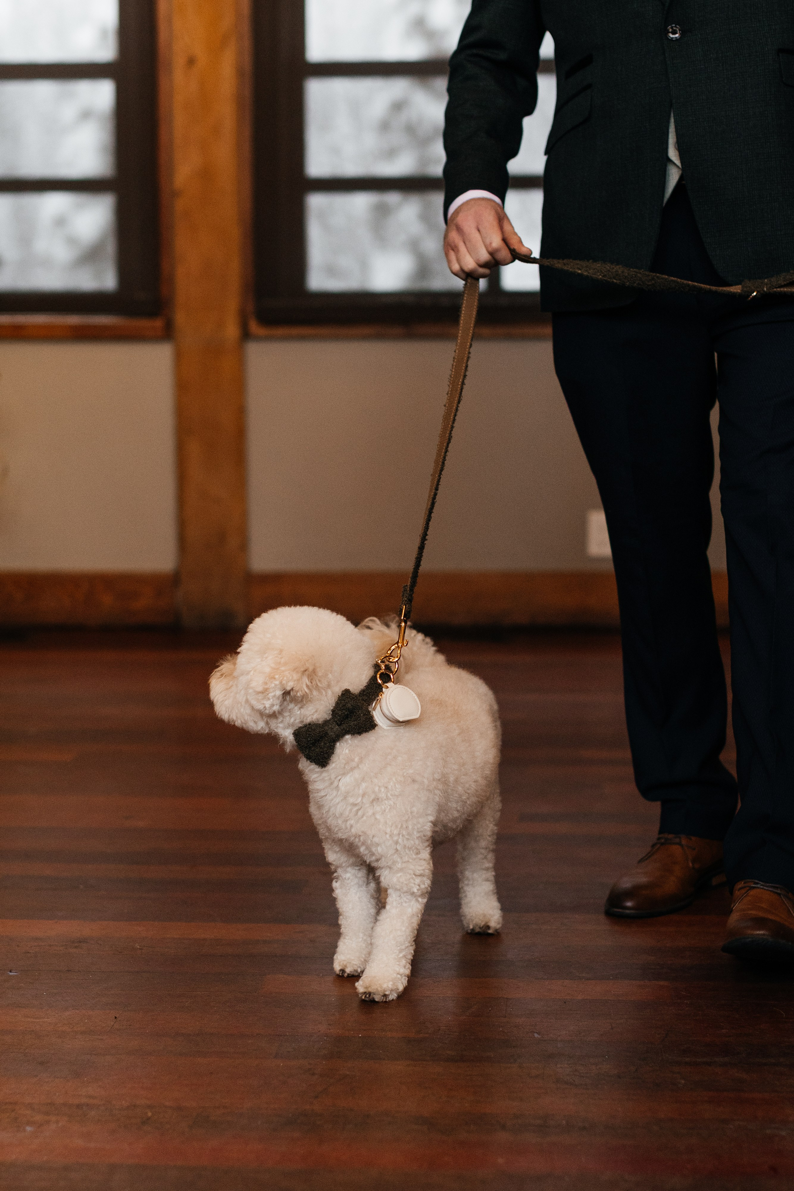 Winter wedding. Emerald lake lodge. Affordable Photographer in Calgary — Tetiana Shuhai