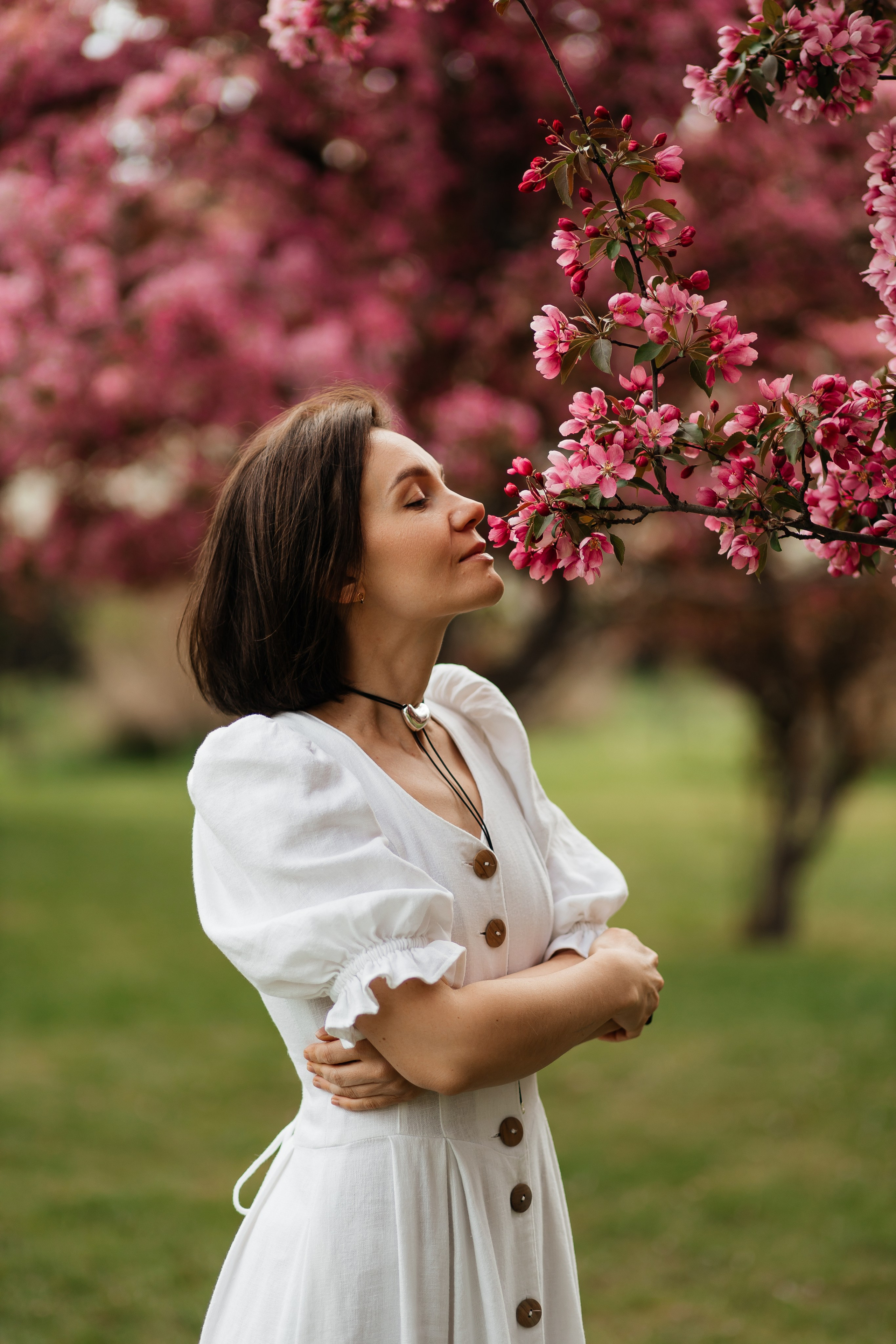 Alevtina. Cherry blossom