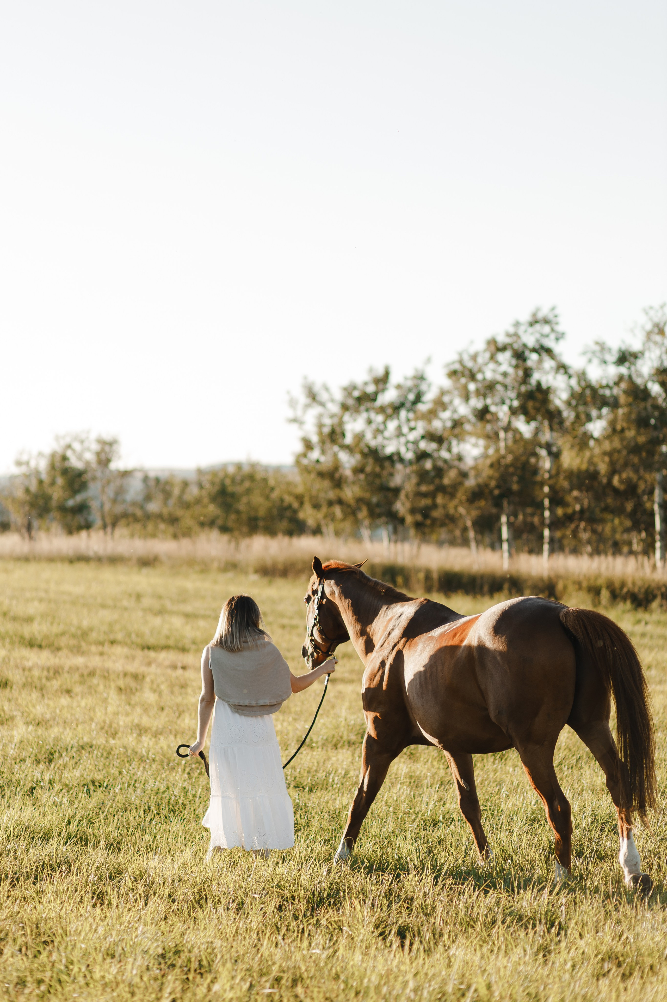 Maria. Sunset photoshoot with hourse