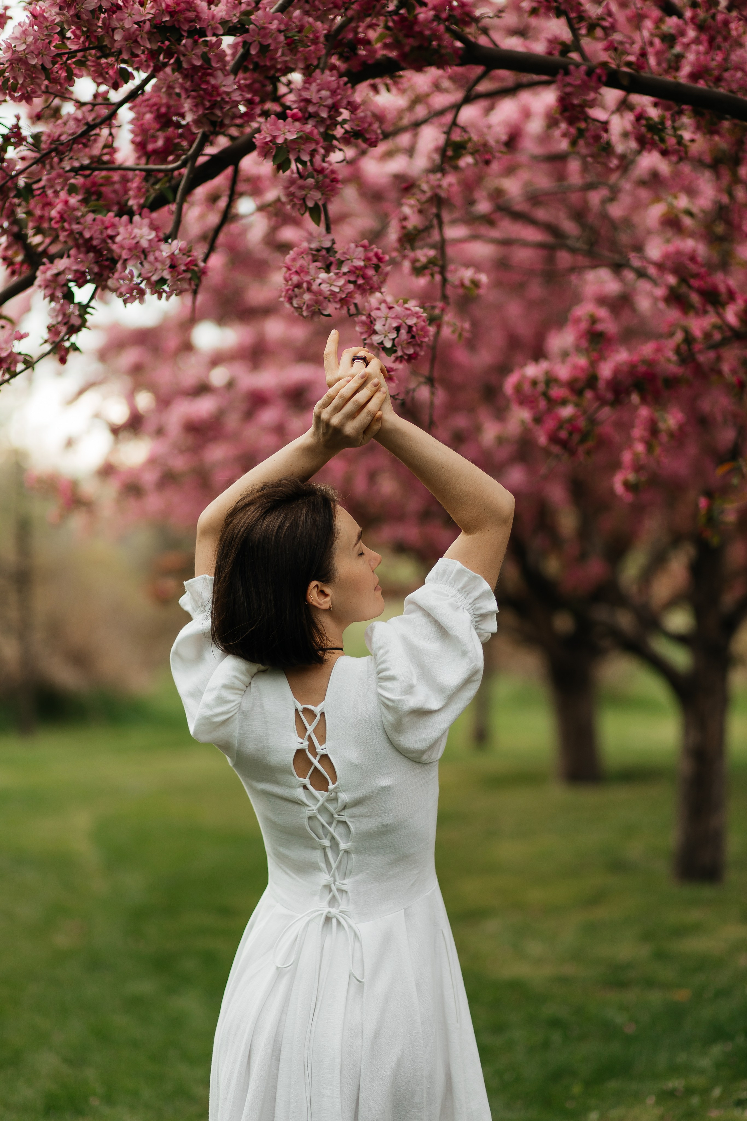 Alevtina. Cherry blossom