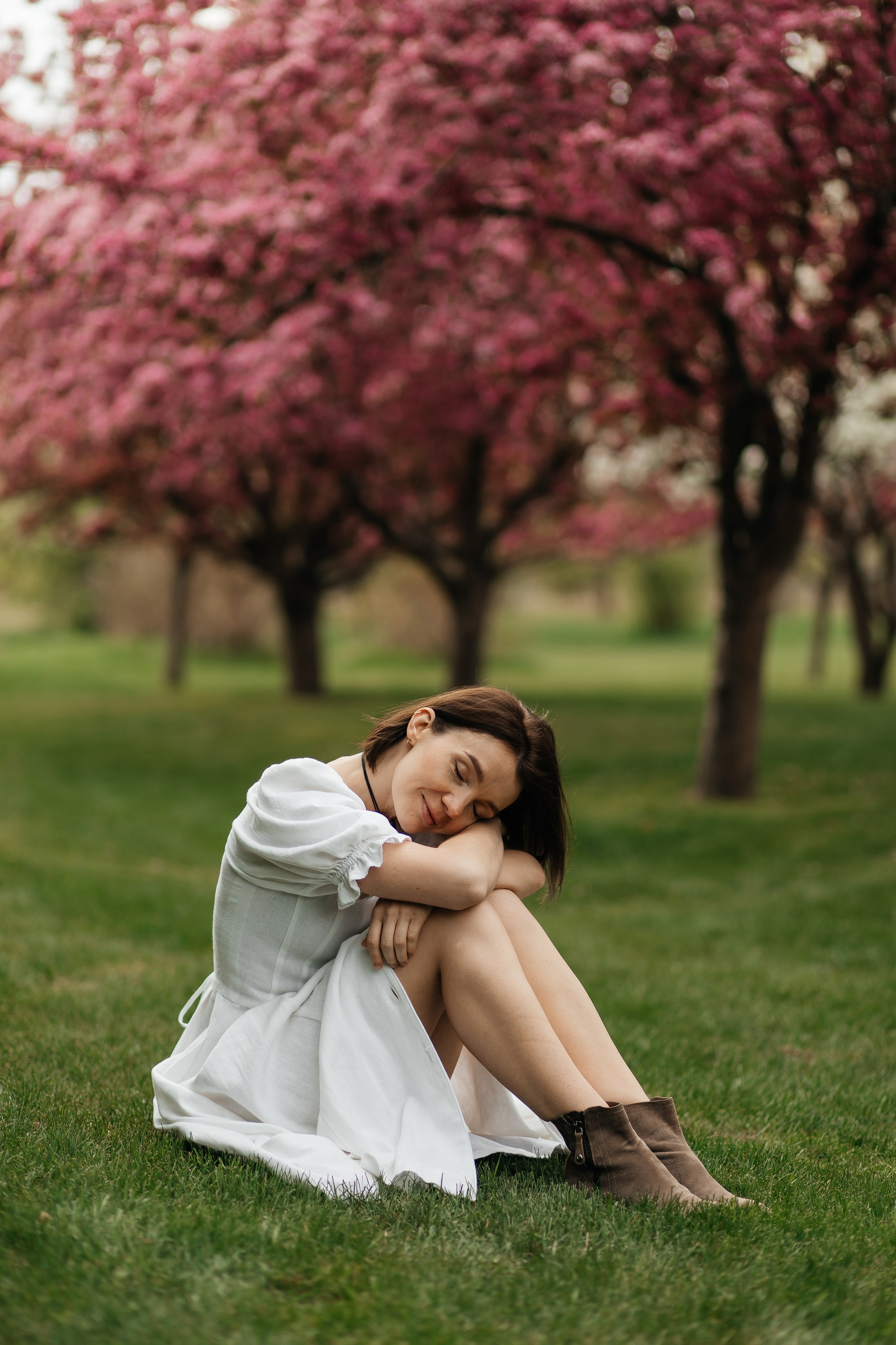 Alevtina. Cherry blossom