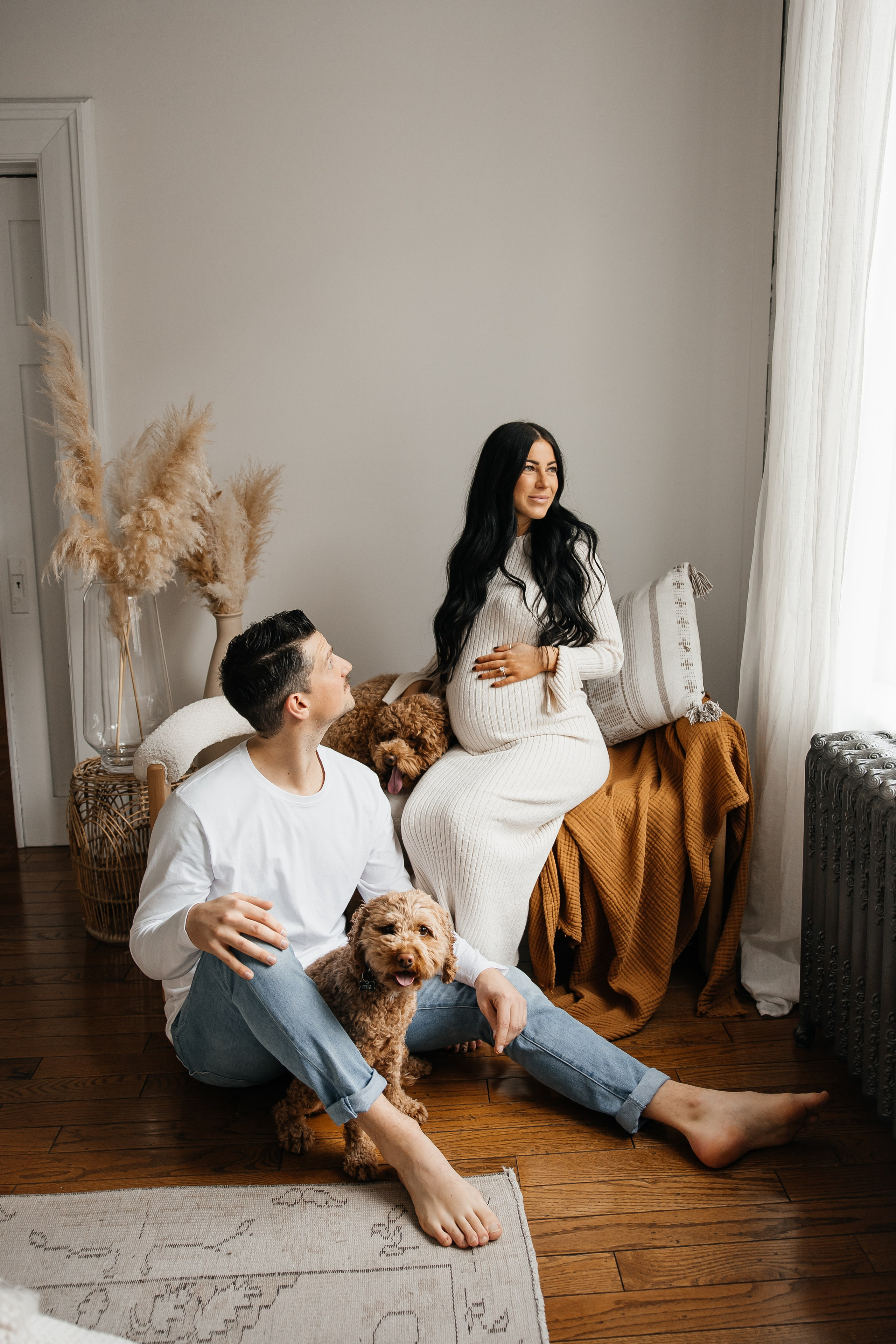 Maternity+2 cute dogs