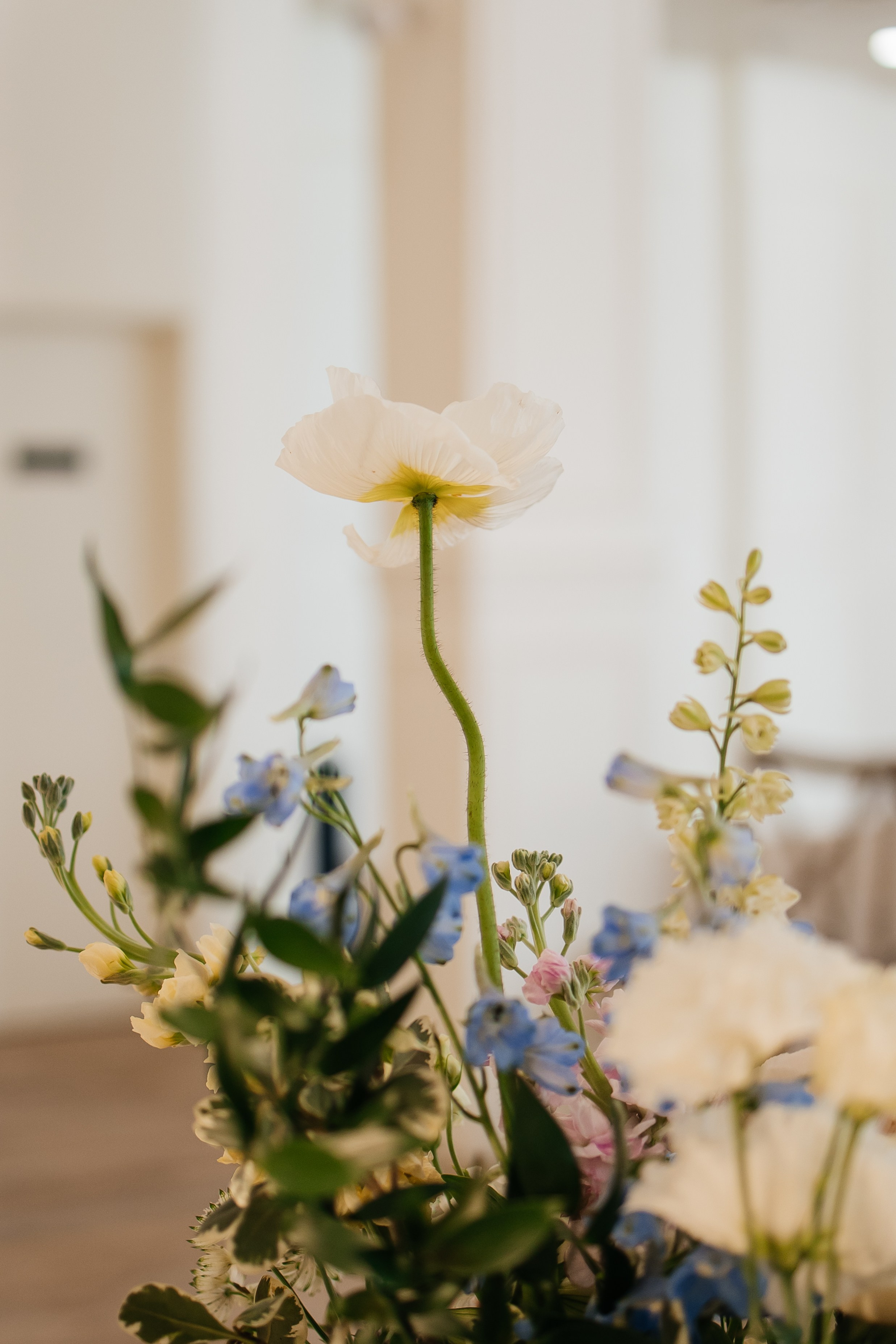 Bri&Matt. Affordable Photographer in Calgary — Tetiana Shuhai