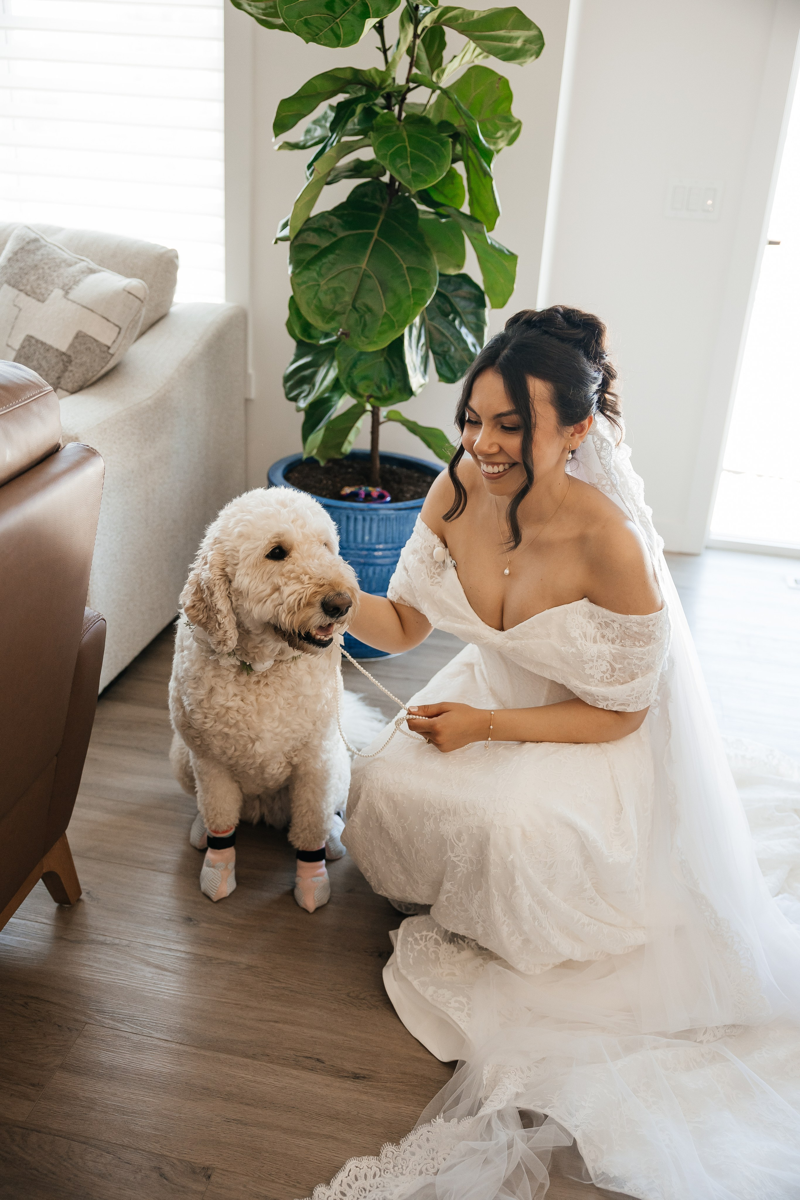 Laura&Roberto. Affordable Photographer in Calgary — Tetiana Shuhai