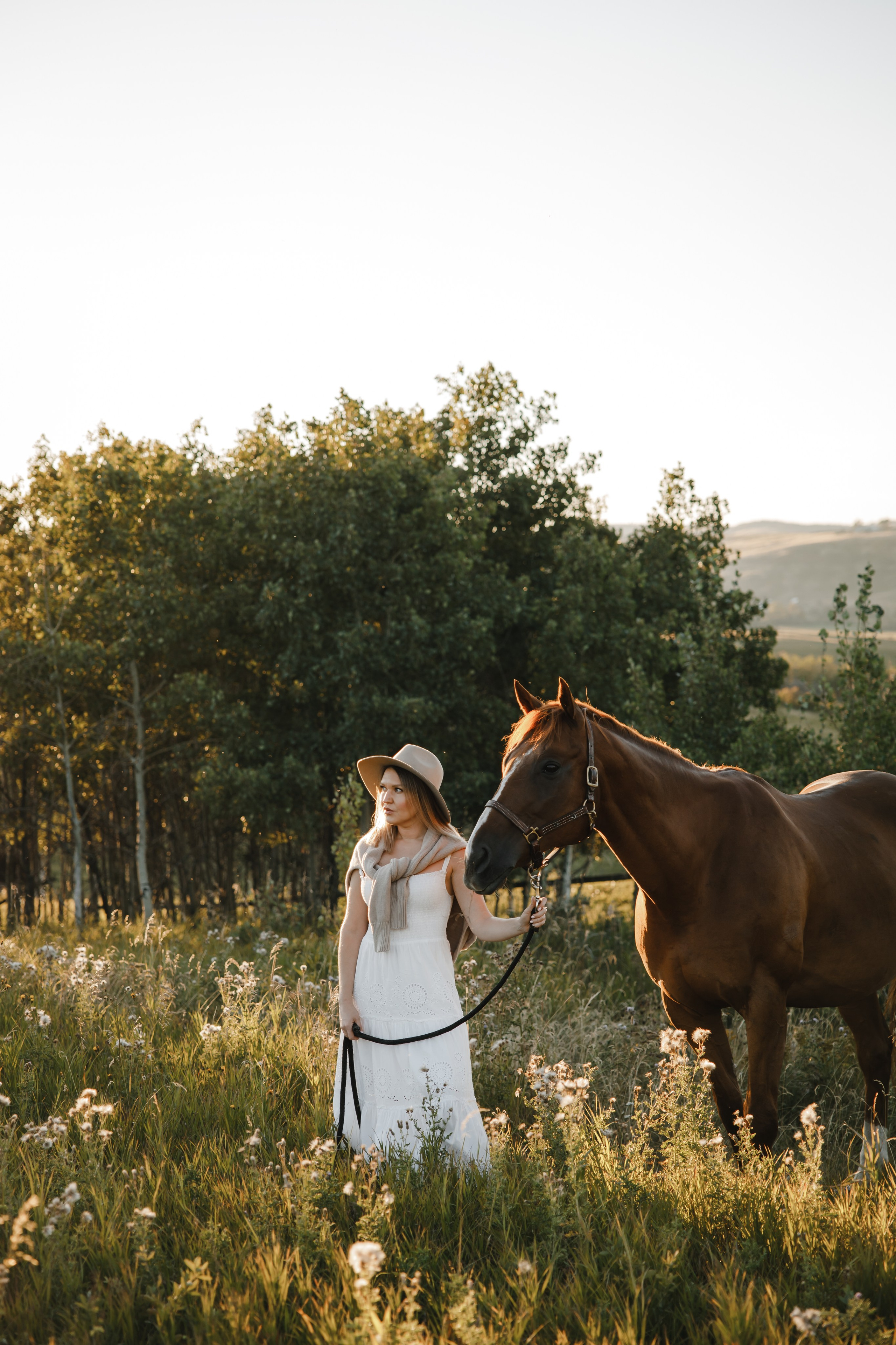 Maria. Sunset photoshoot with hourse