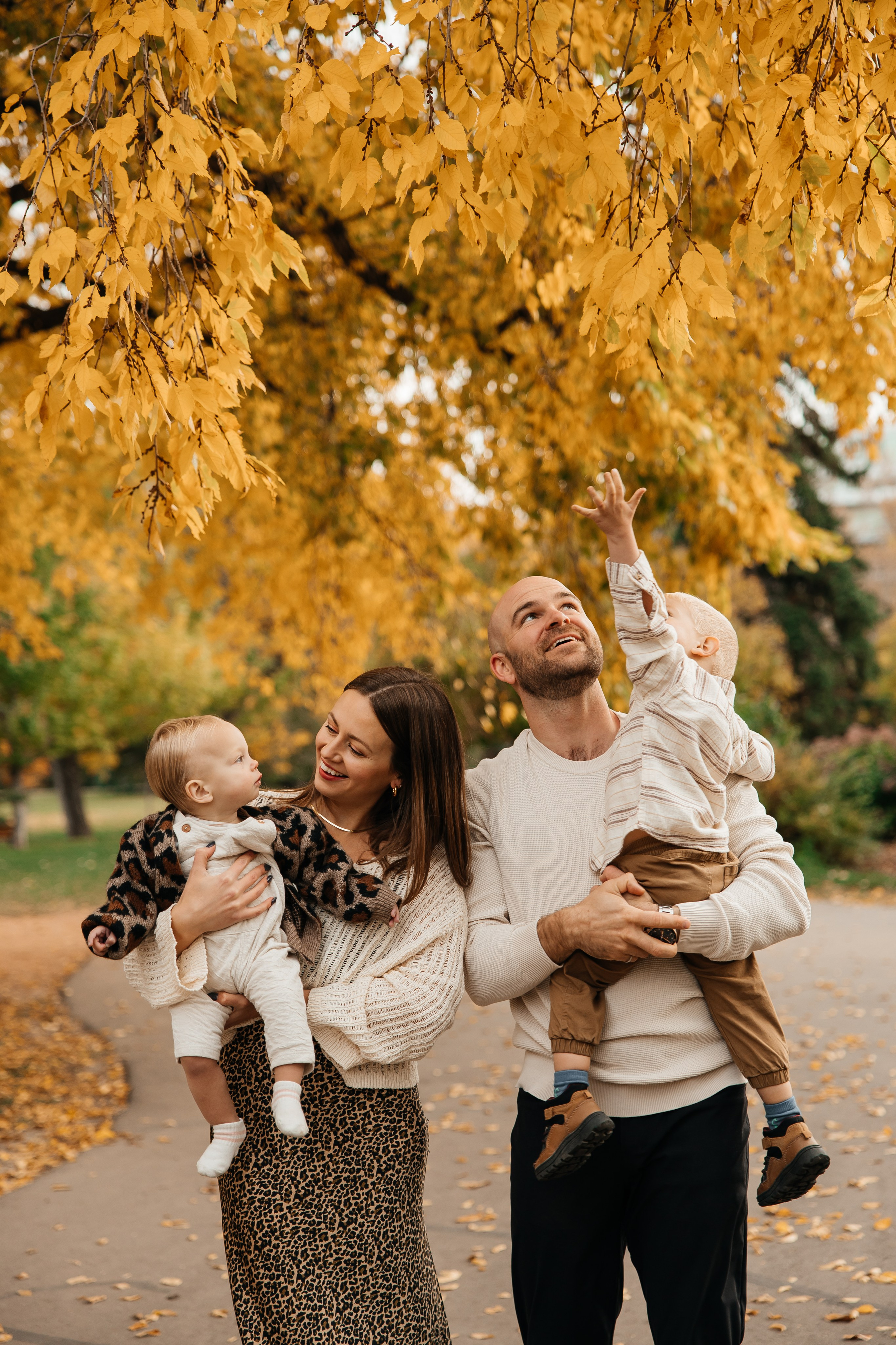 Family.Fall session