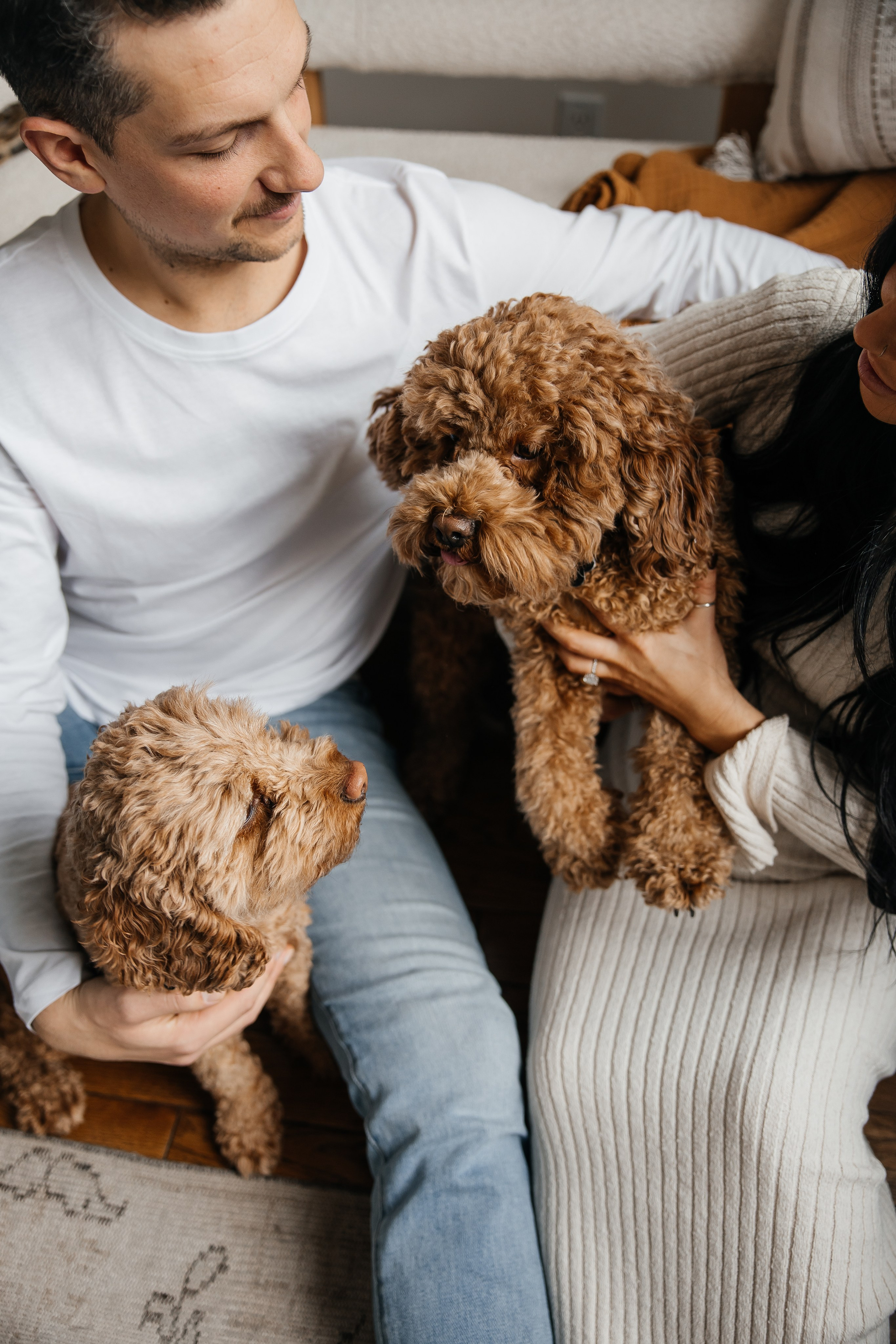 Maternity+2 cute dogs