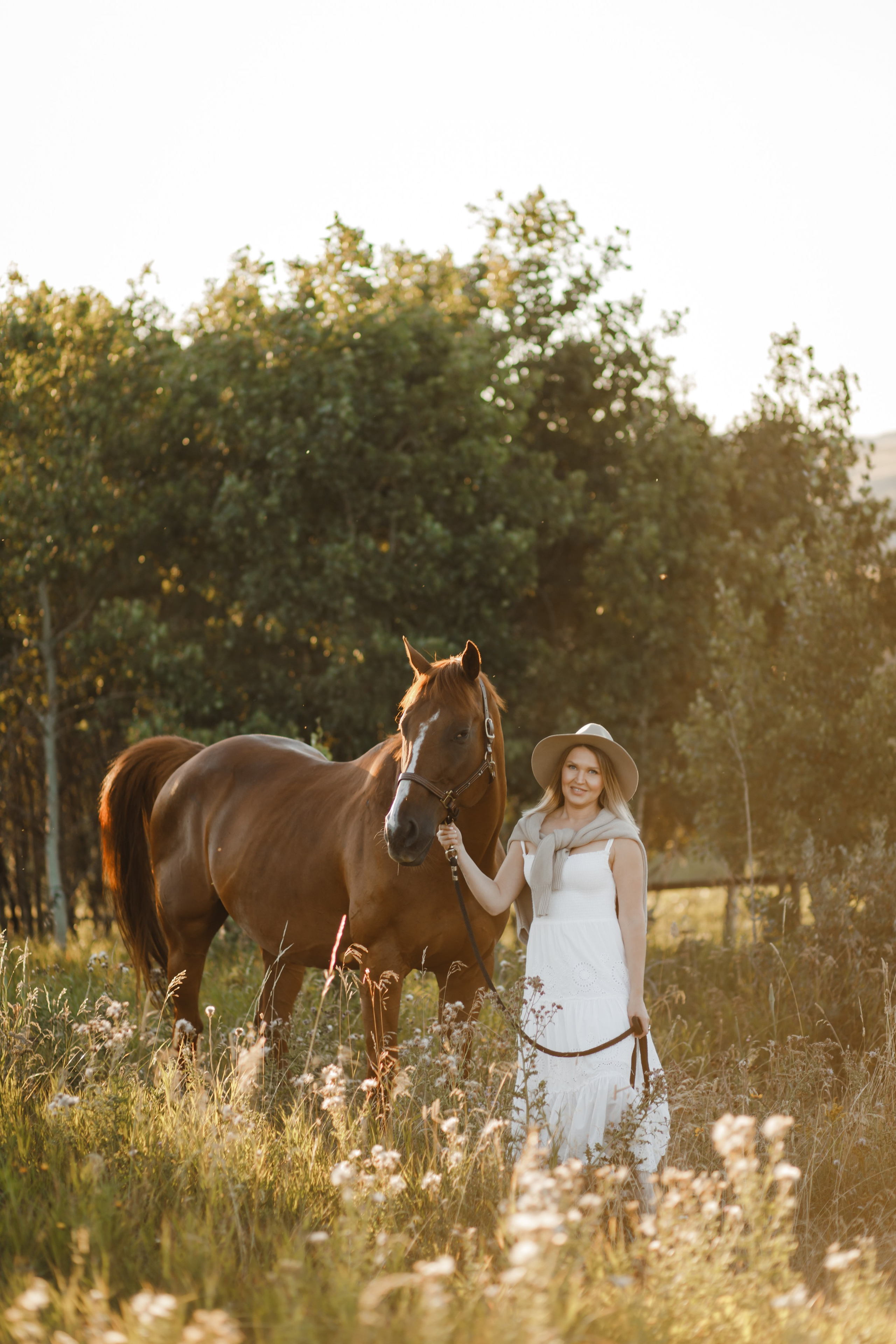 Maria. Sunset photoshoot with hourse