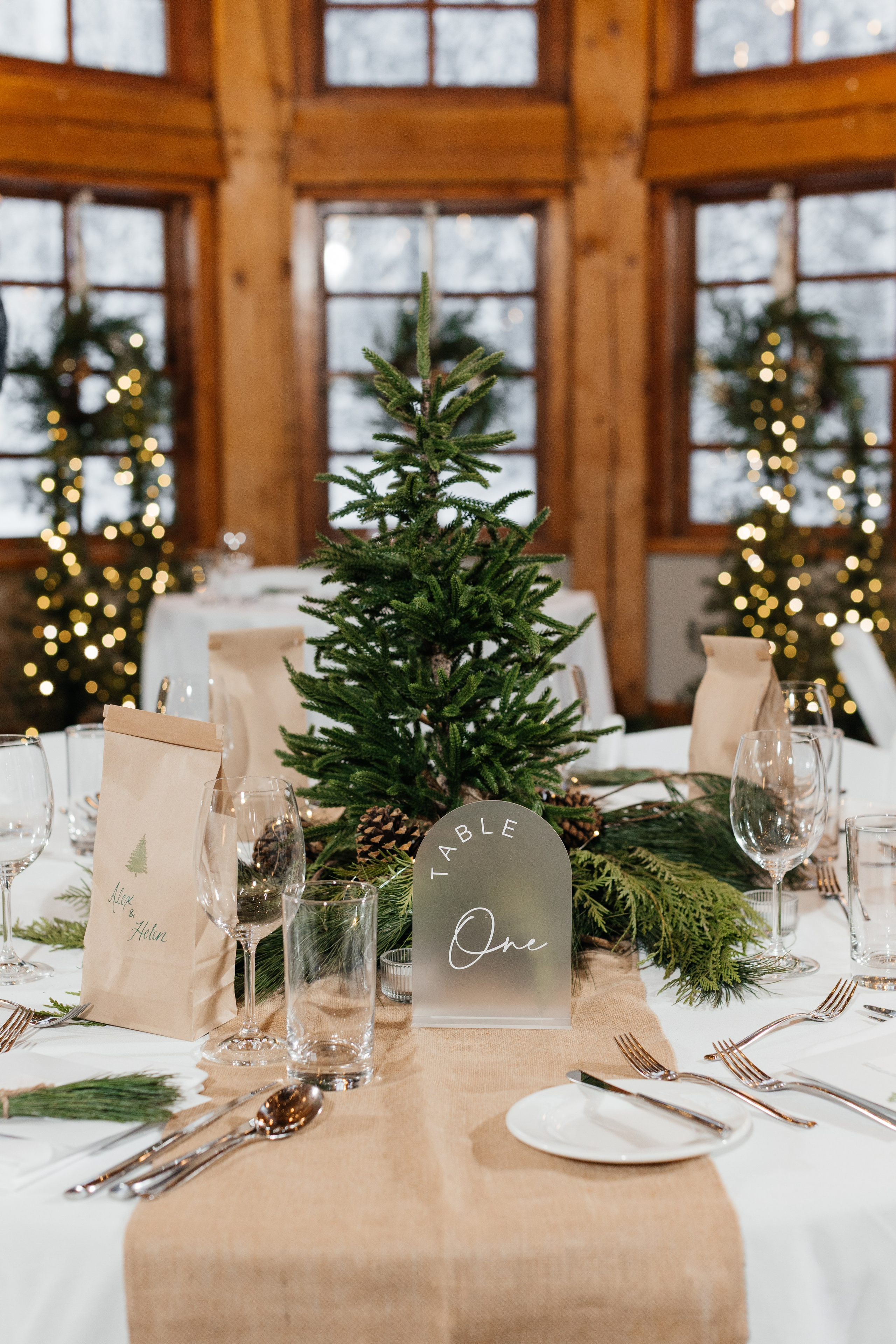 Winter wedding. Emerald lake lodge. Affordable Photographer in Calgary — Tetiana Shuhai