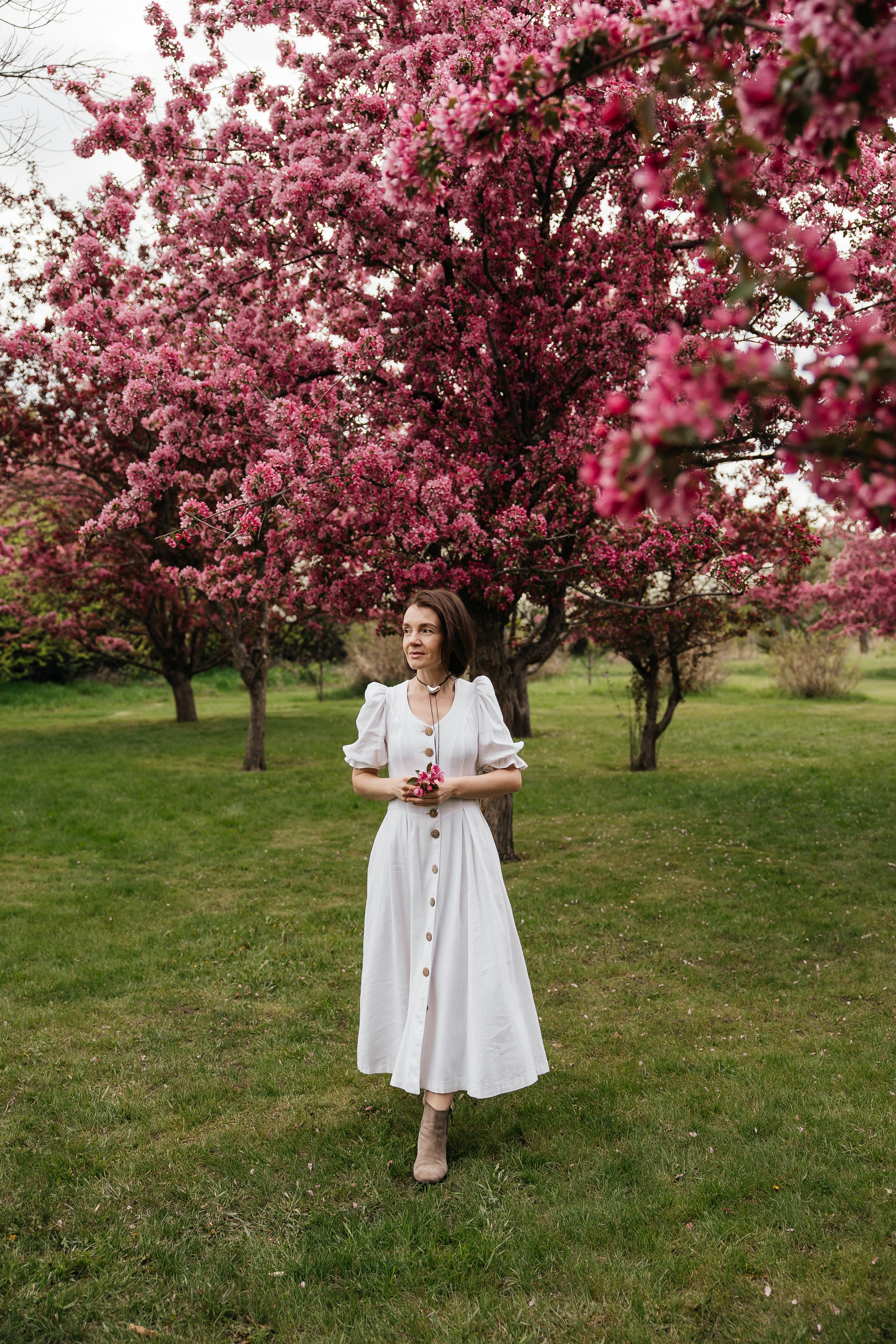 Alevtina. Cherry blossom