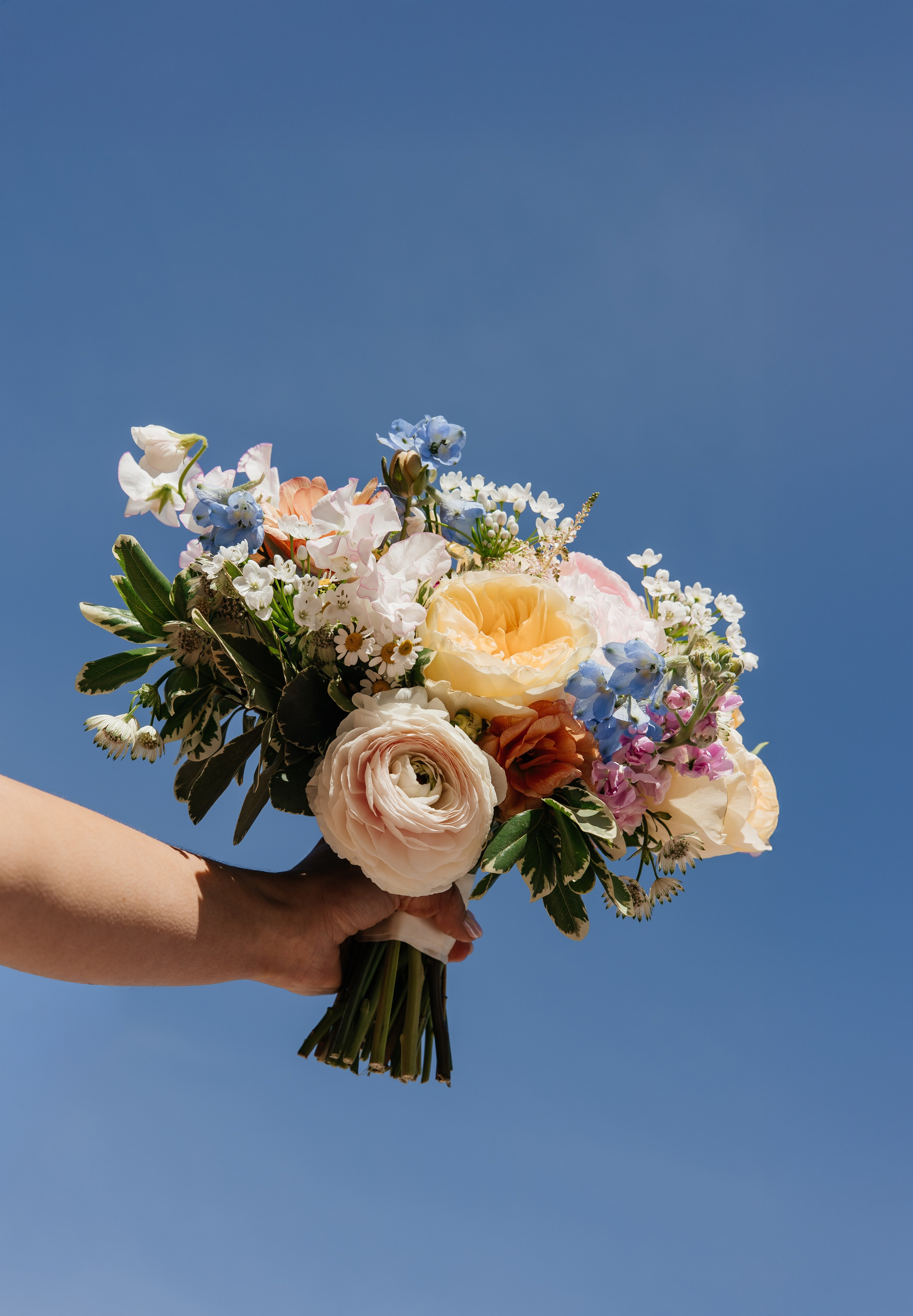 Bri&Matt. Affordable Photographer in Calgary — Tetiana Shuhai