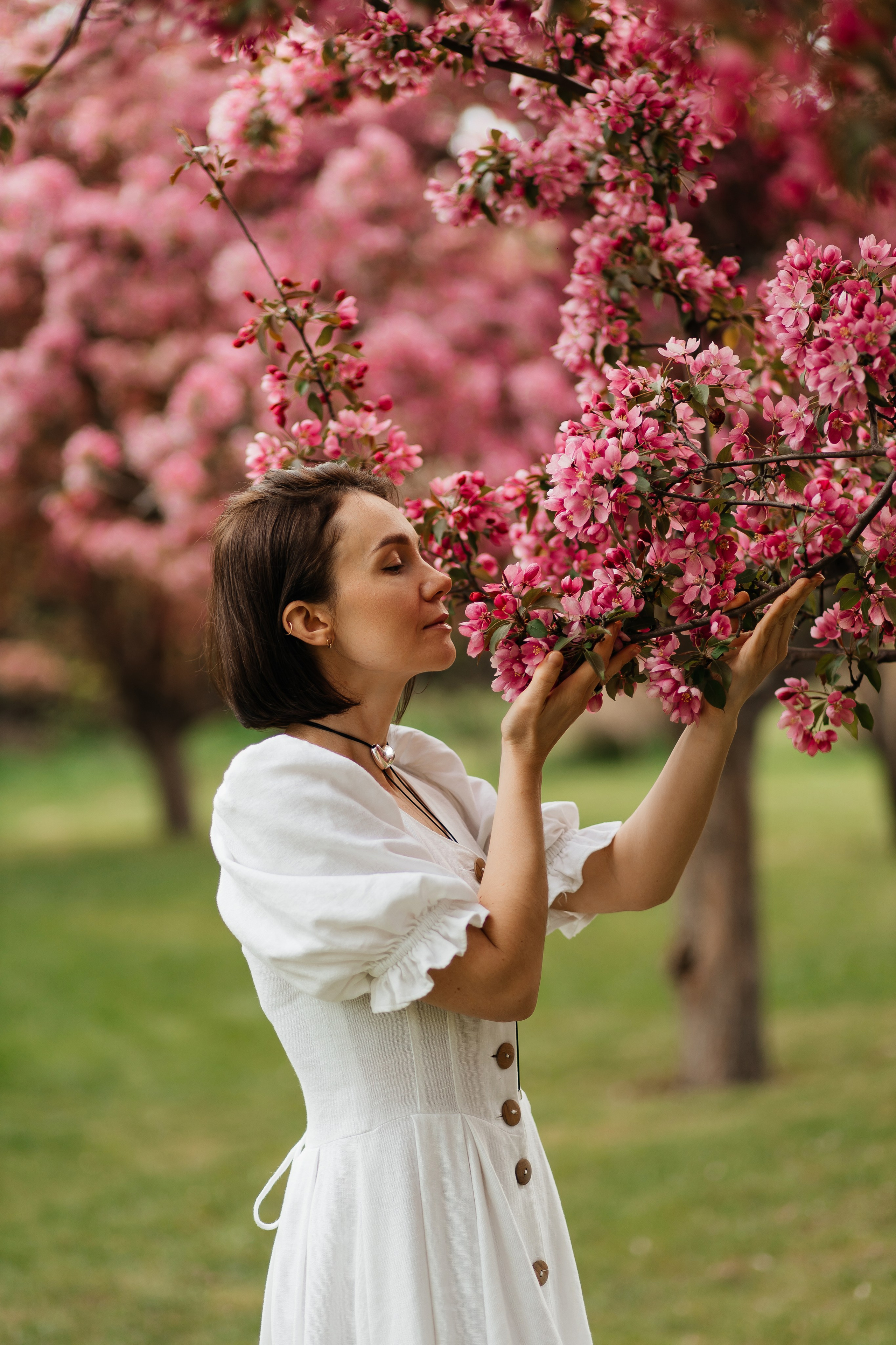 Alevtina. Cherry blossom