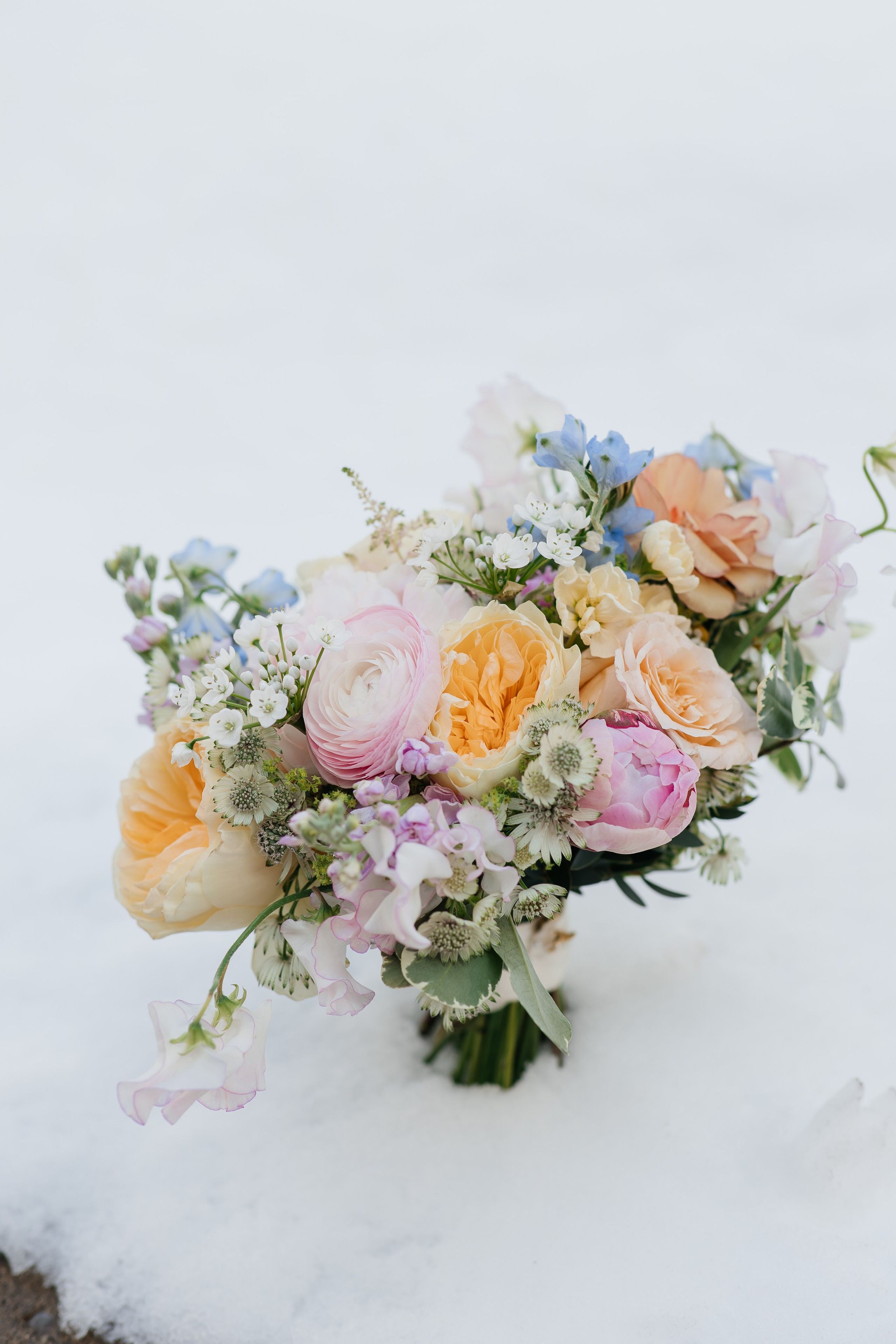 Bri&Matt. Affordable Photographer in Calgary — Tetiana Shuhai