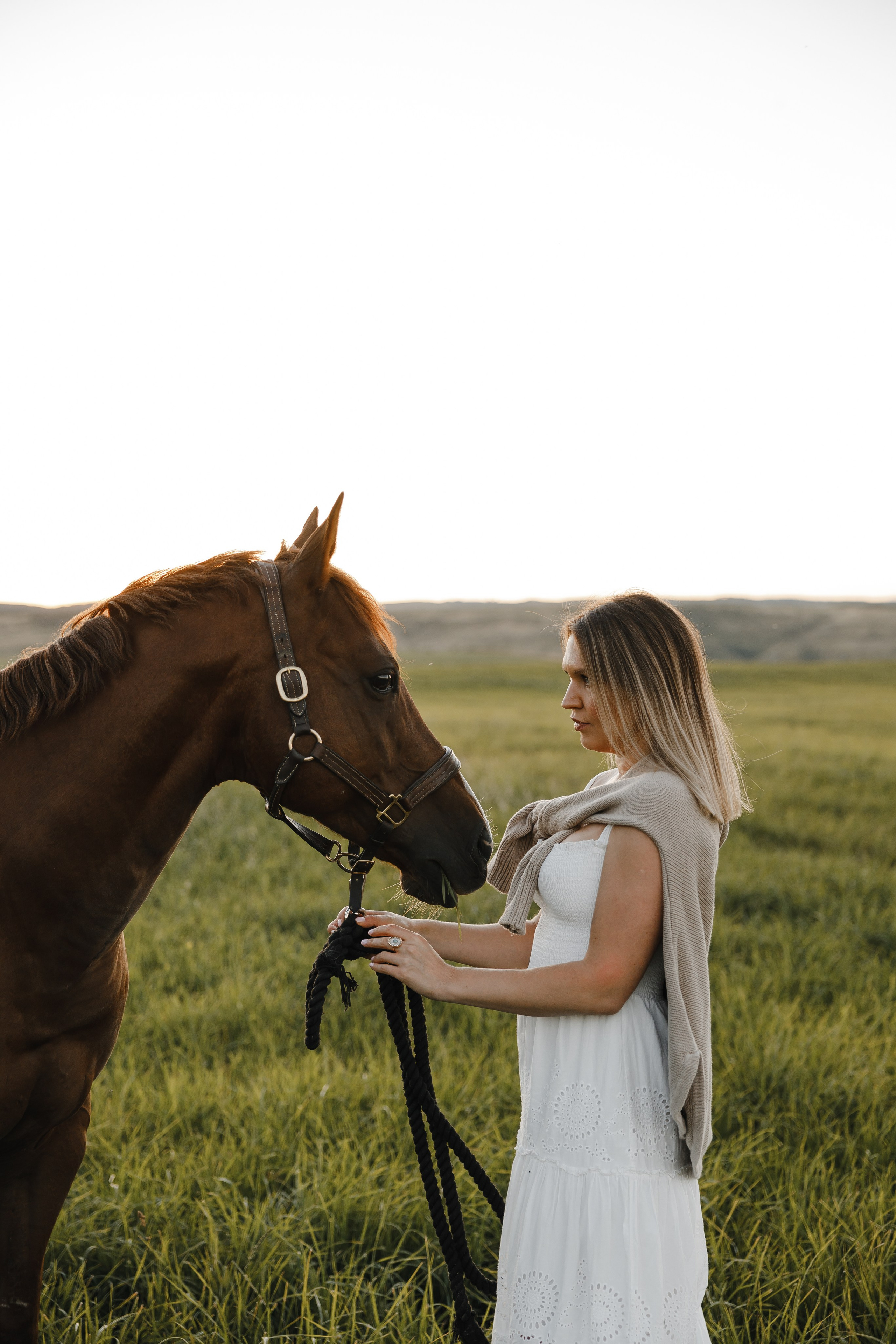 Maria. Sunset photoshoot with hourse