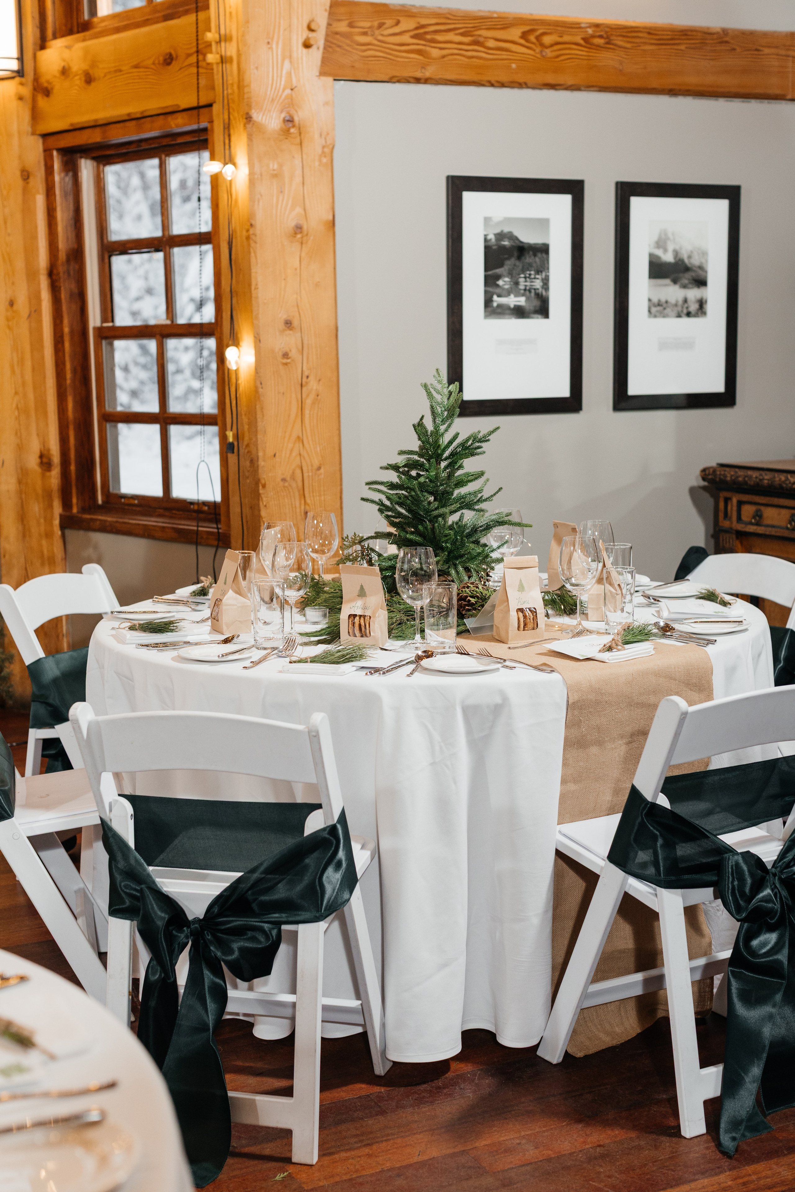 Winter wedding. Emerald lake lodge. Affordable Photographer in Calgary — Tetiana Shuhai