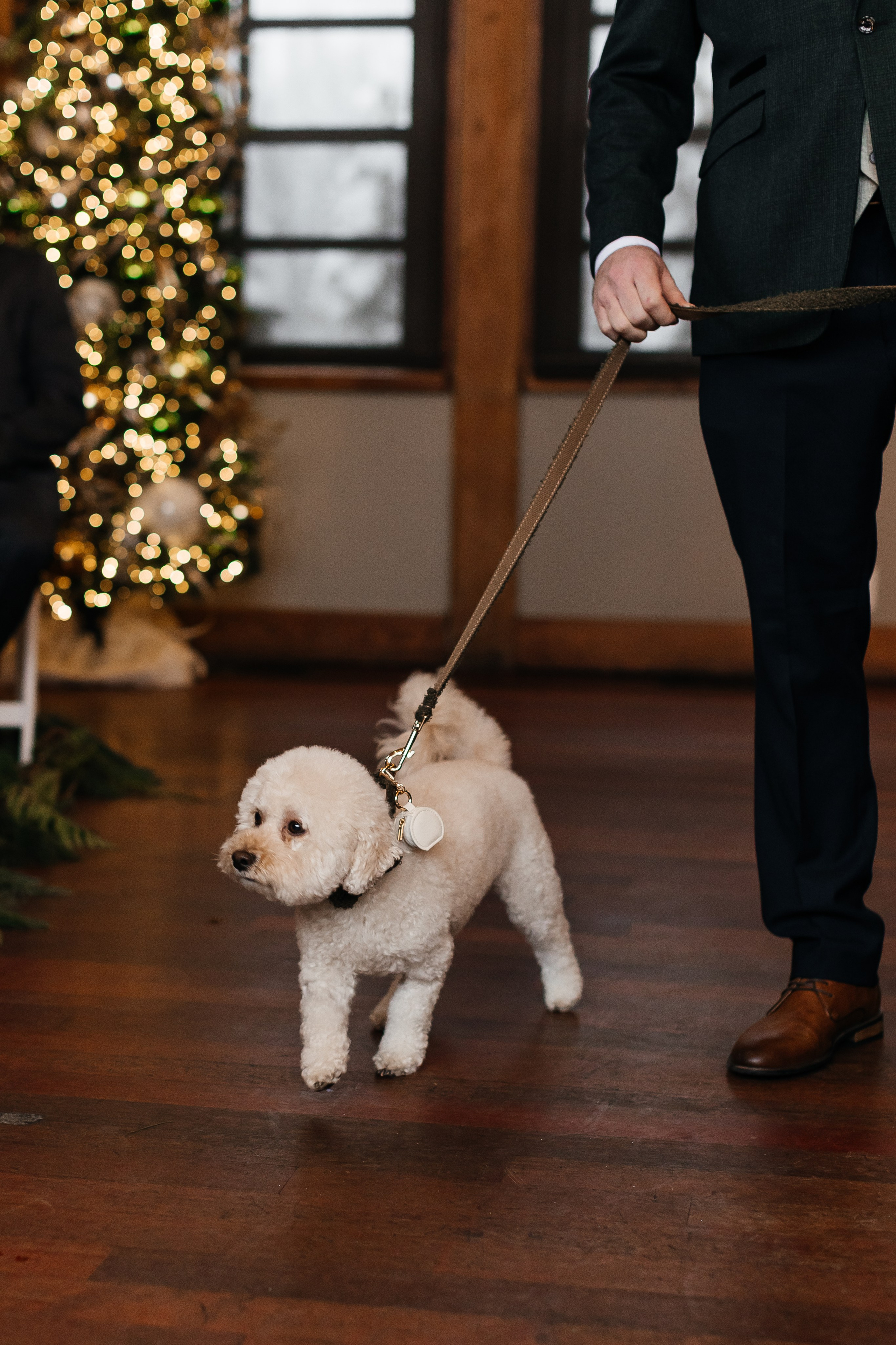 Winter wedding. Emerald lake lodge. Affordable Photographer in Calgary — Tetiana Shuhai