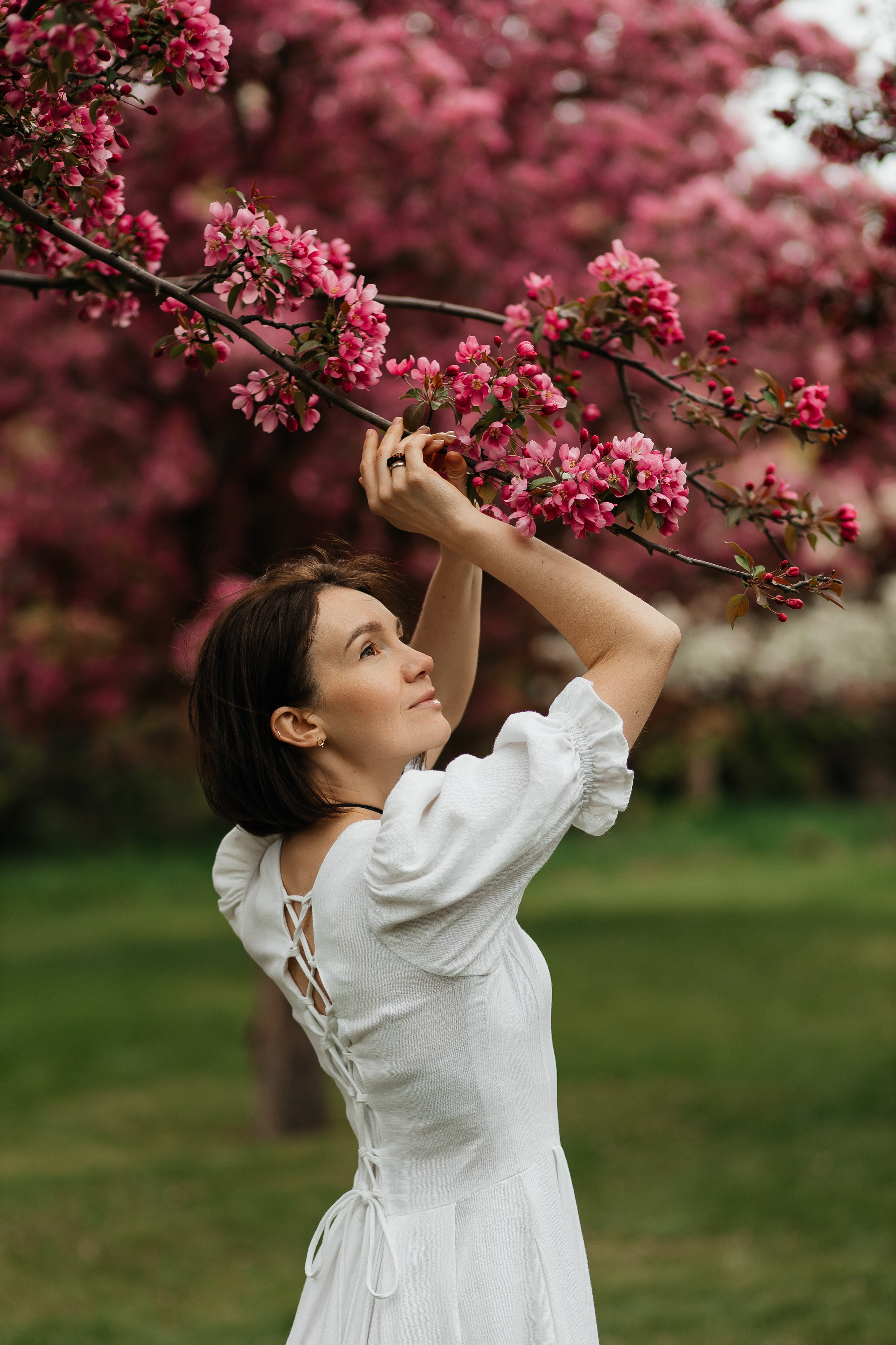 Alevtina. Cherry blossom