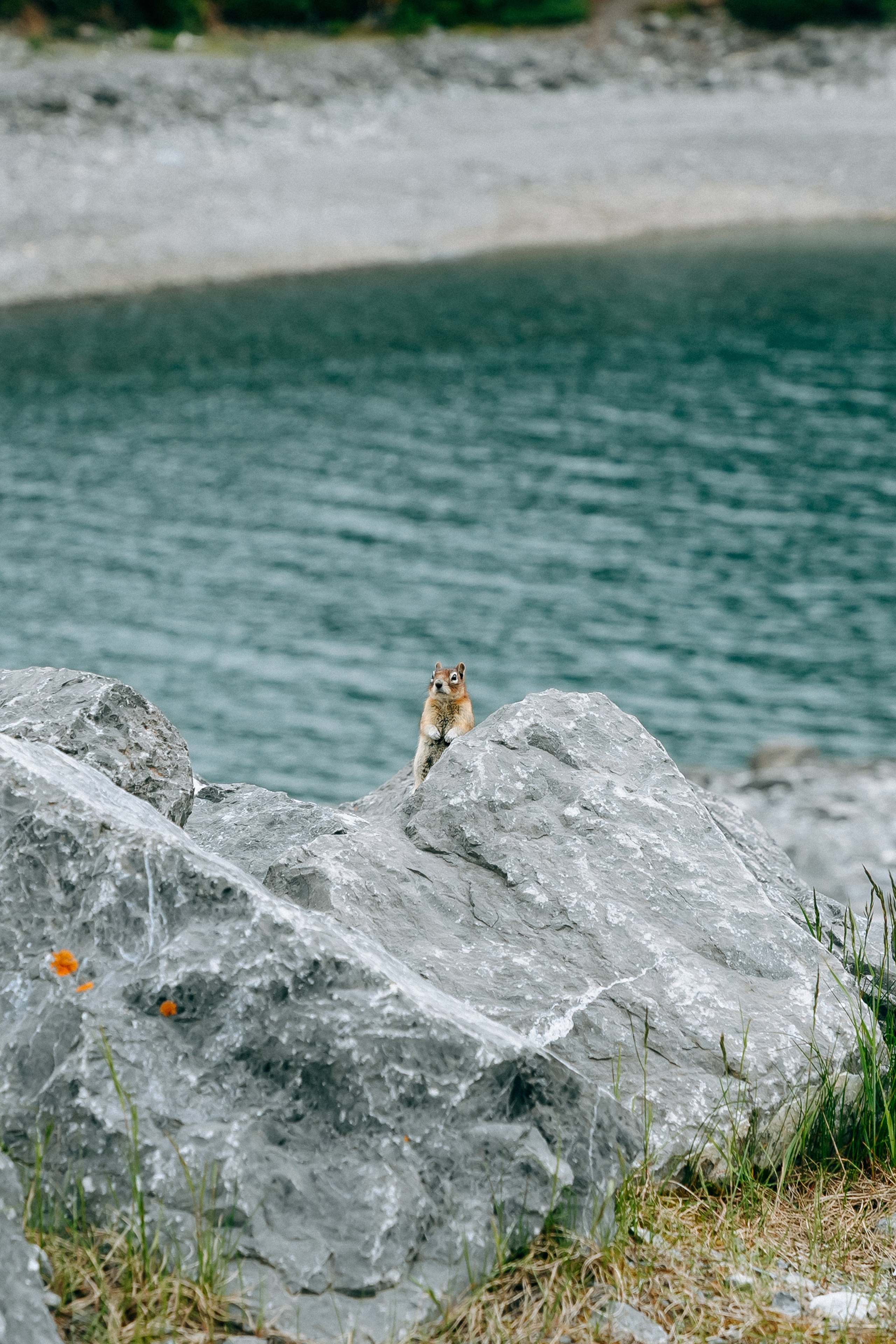 Jane. Affordable Photographer in Calgary — Tetiana Shuhai