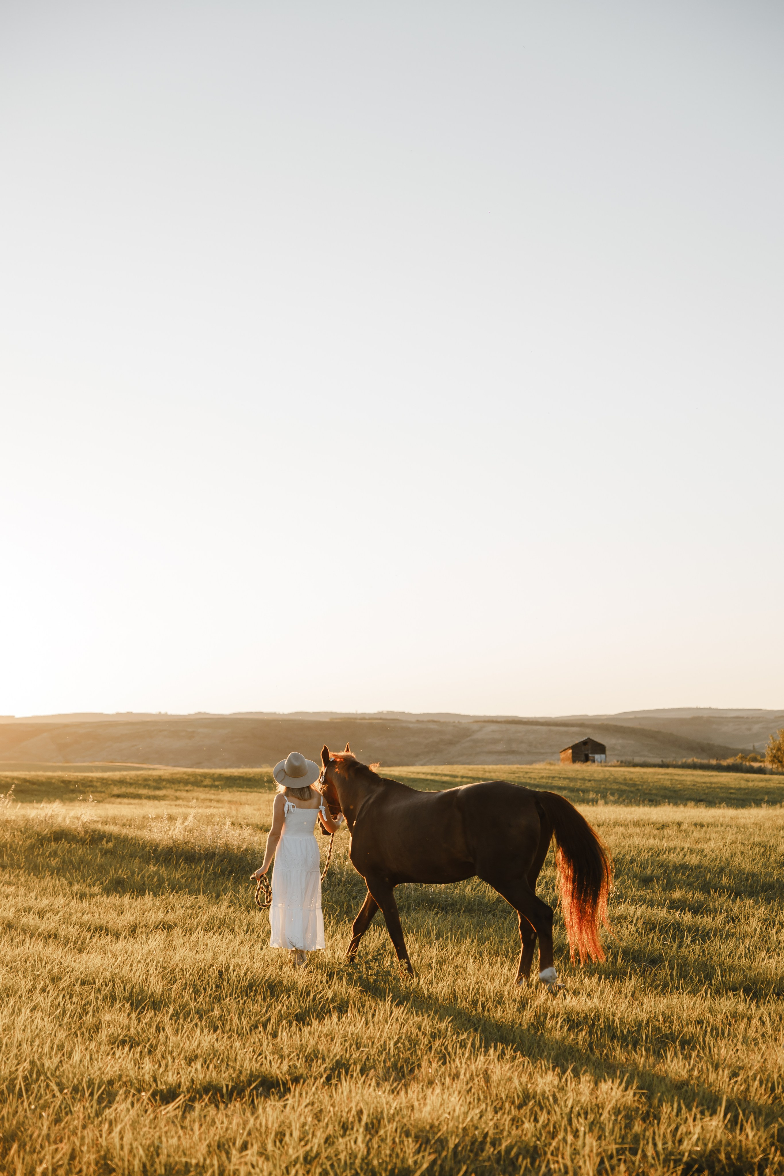 Maria. Sunset photoshoot with hourse