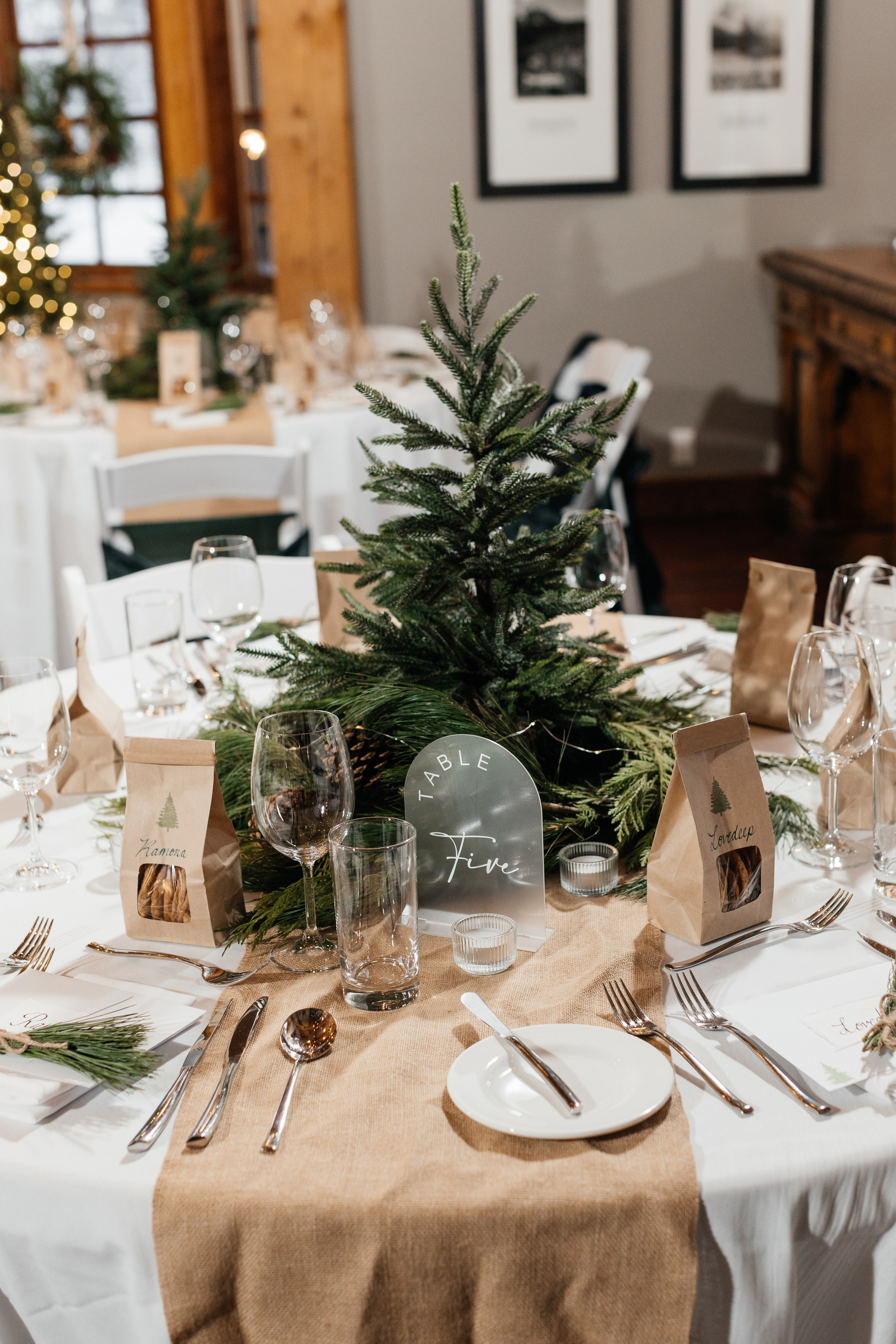 Winter wedding. Emerald lake lodge. Affordable Photographer in Calgary — Tetiana Shuhai