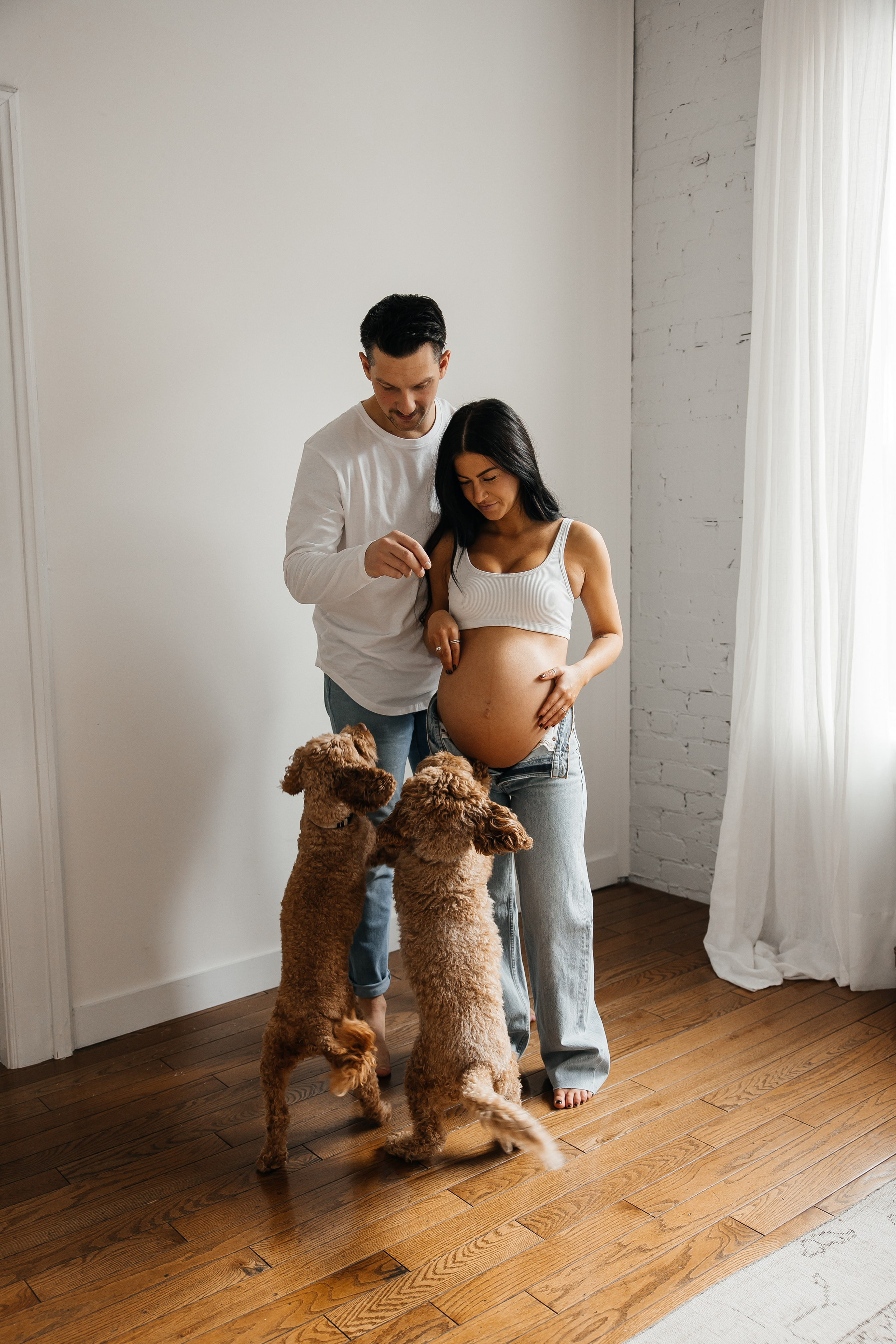 Maternity+2 cute dogs