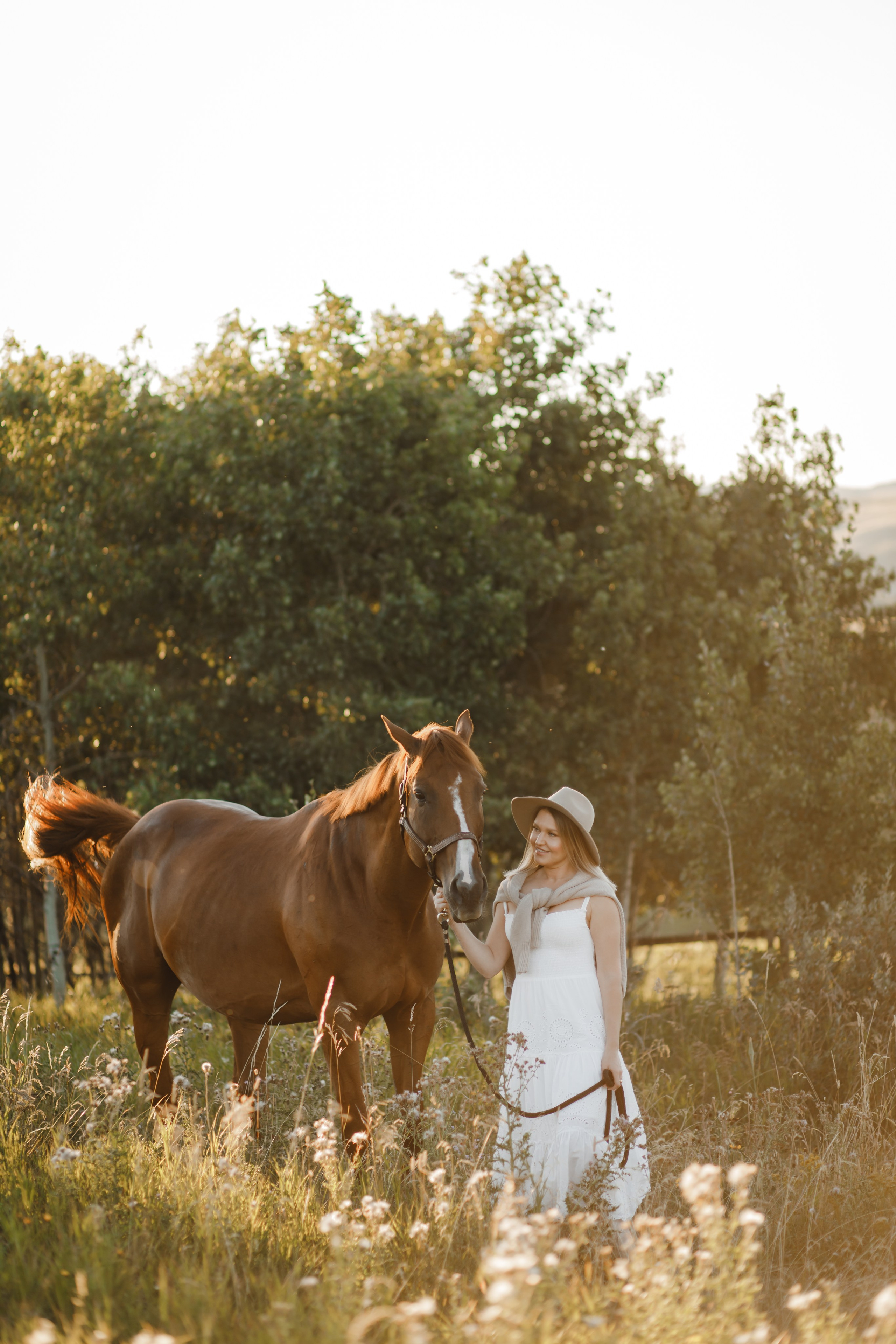 Maria. Sunset photoshoot with hourse