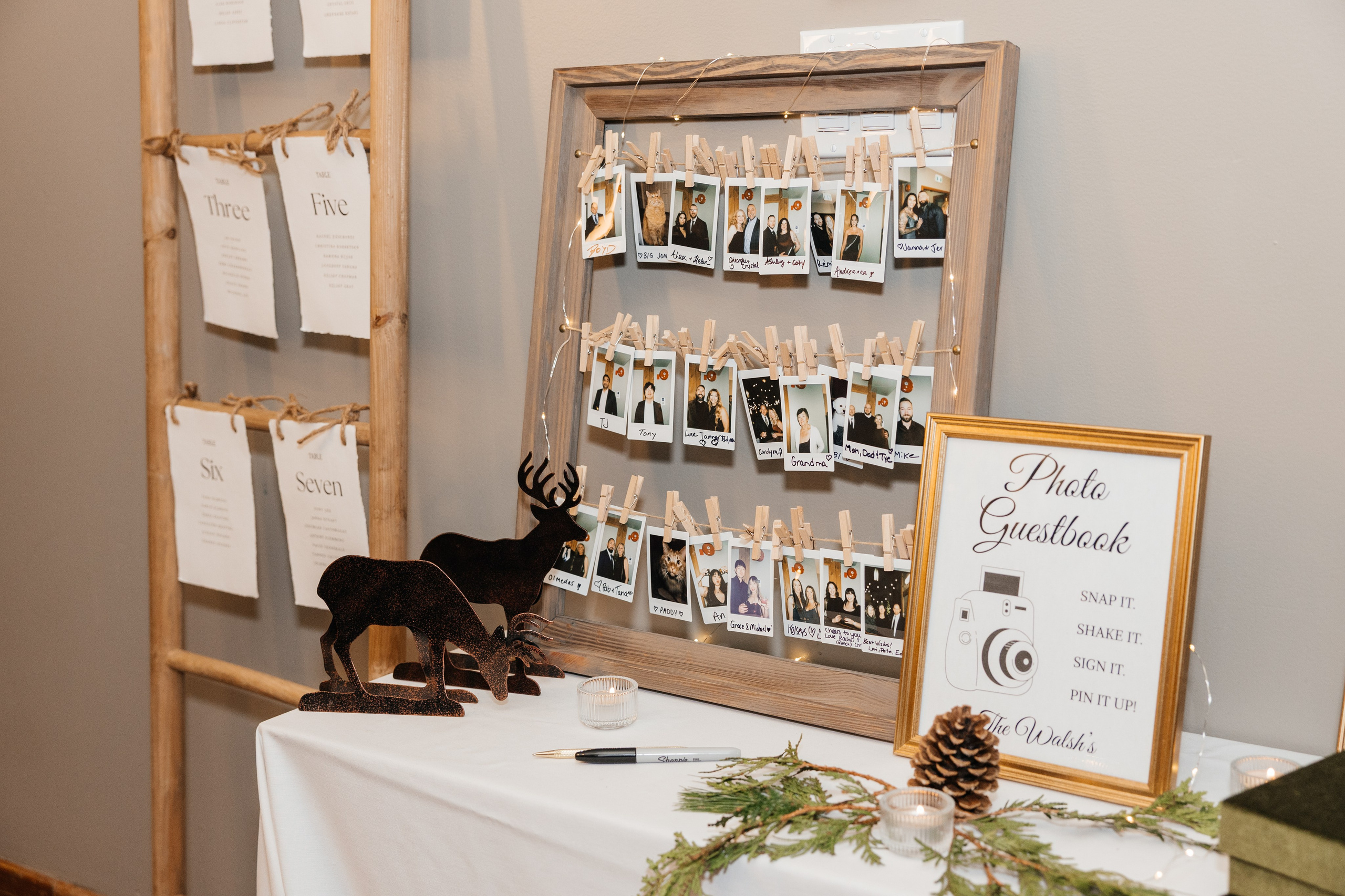 Winter wedding. Emerald lake lodge. Affordable Photographer in Calgary — Tetiana Shuhai