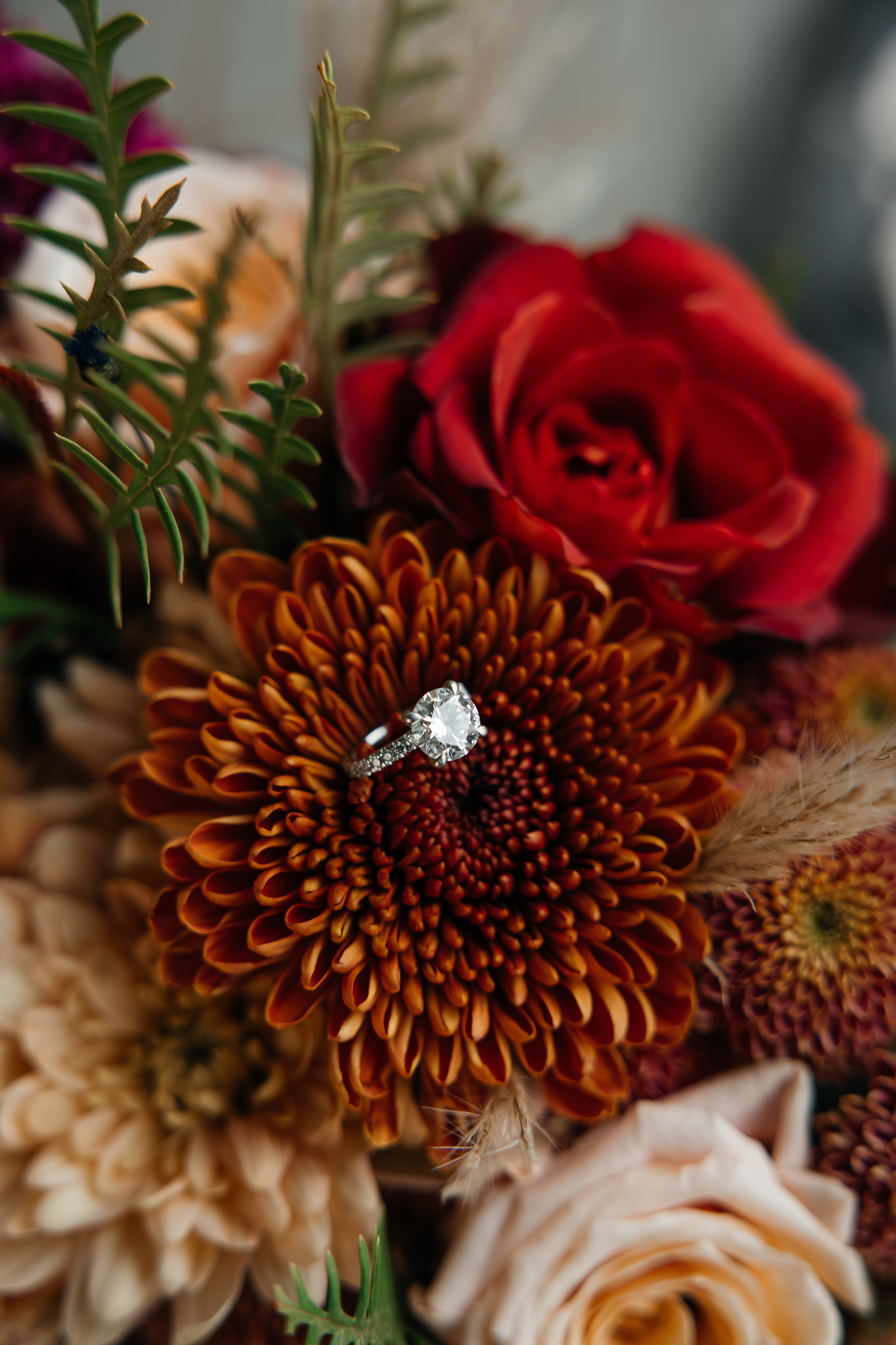 Lana&Quinn full gallery