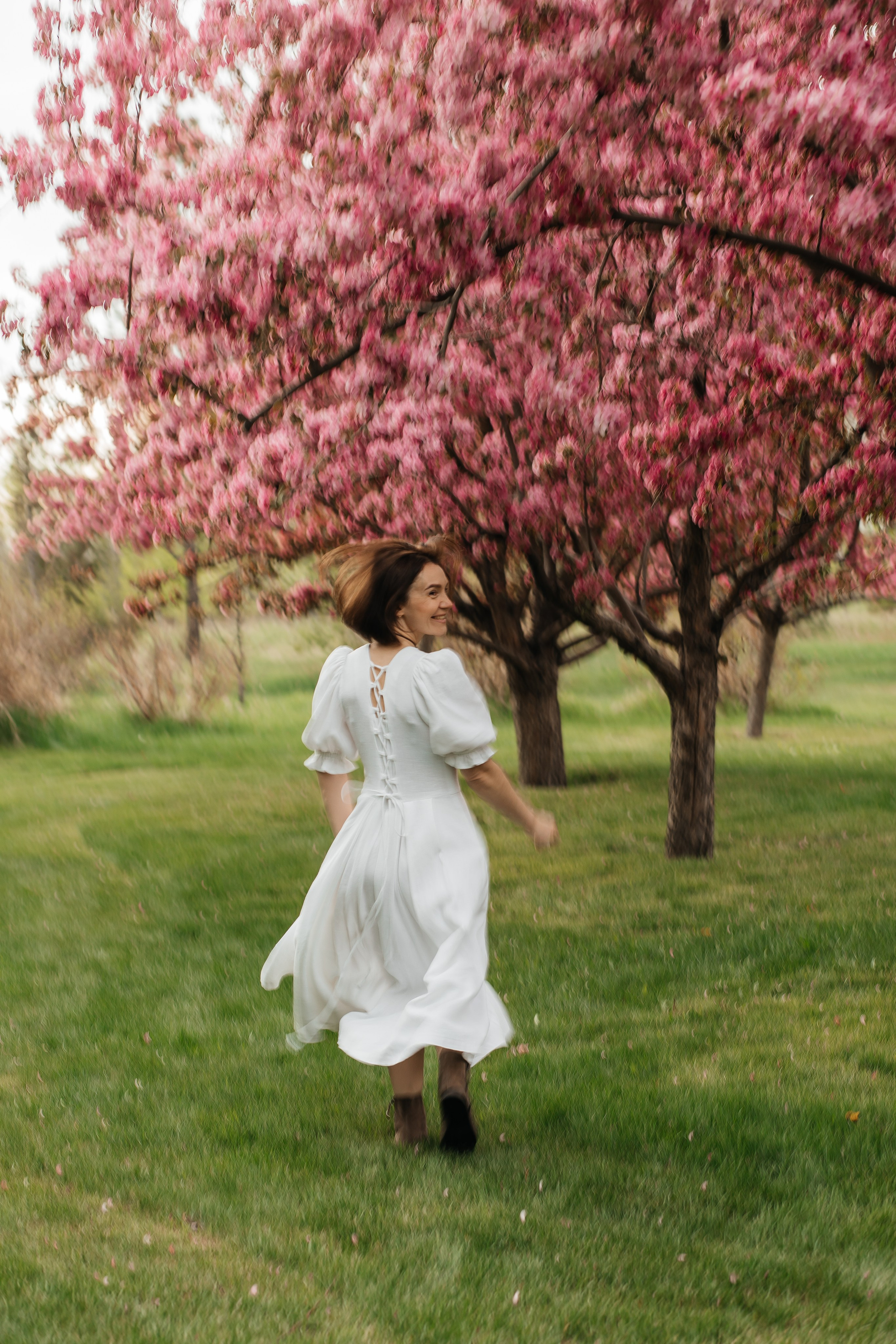 Alevtina. Cherry blossom