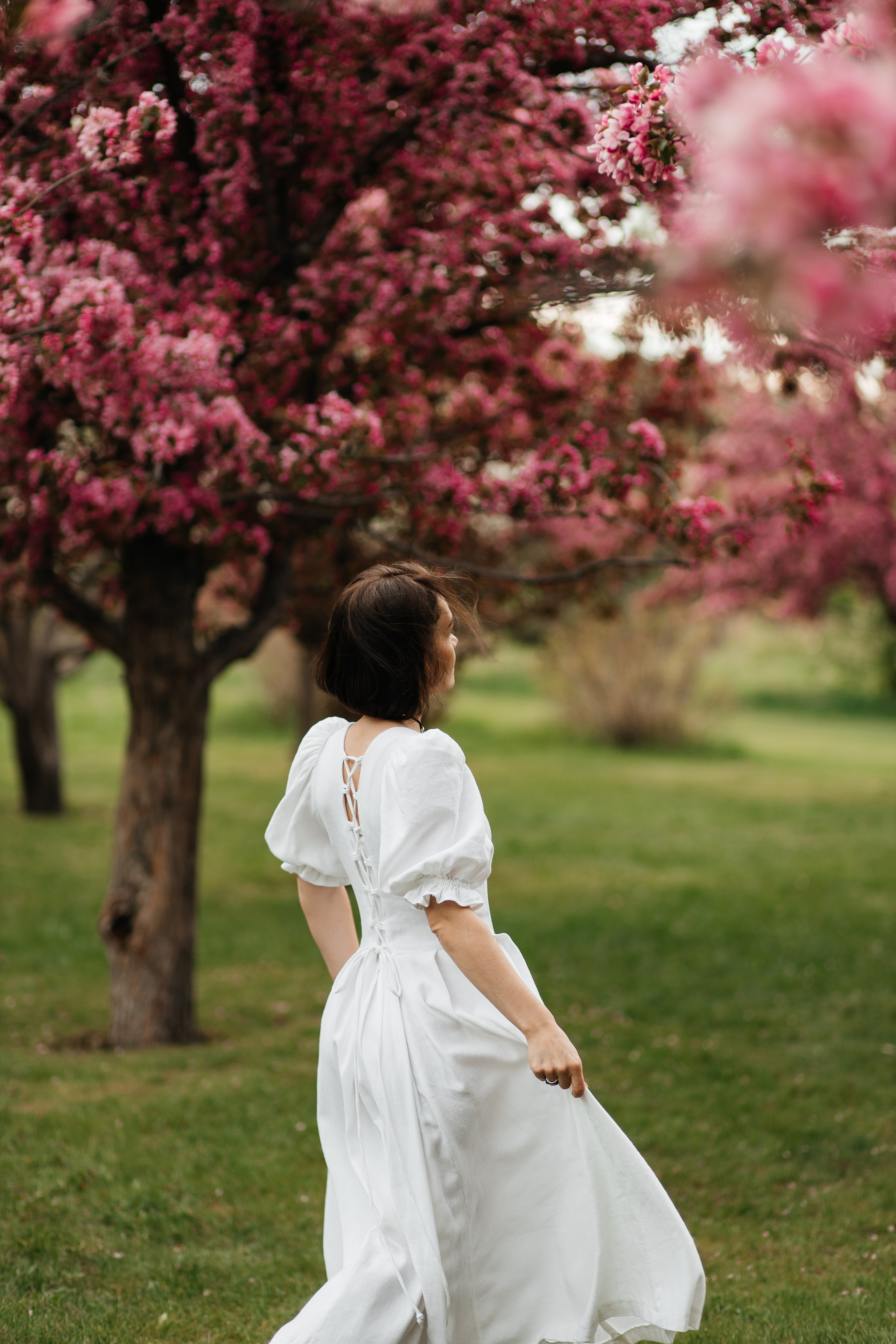 Alevtina. Cherry blossom