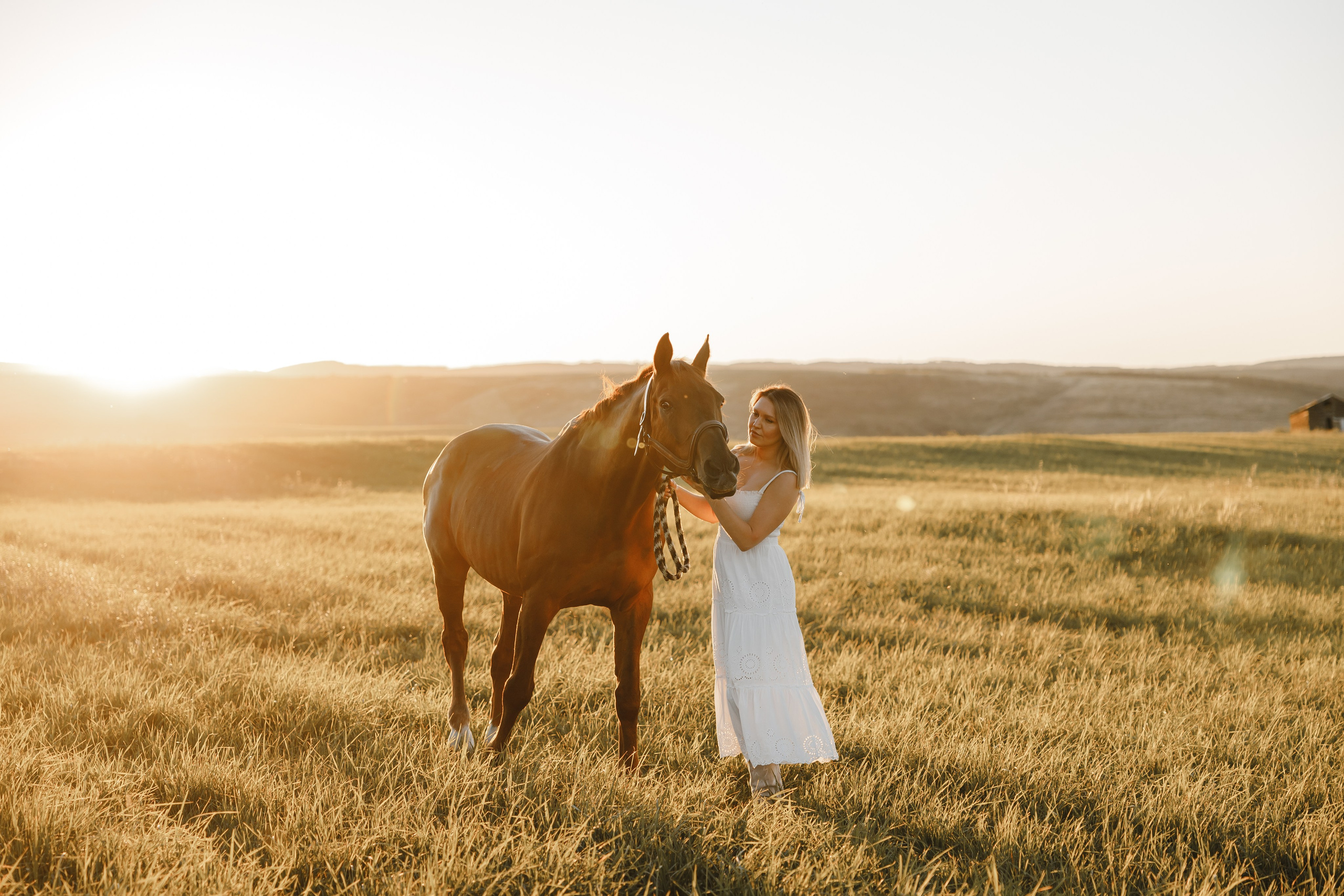Maria. Sunset photoshoot with hourse