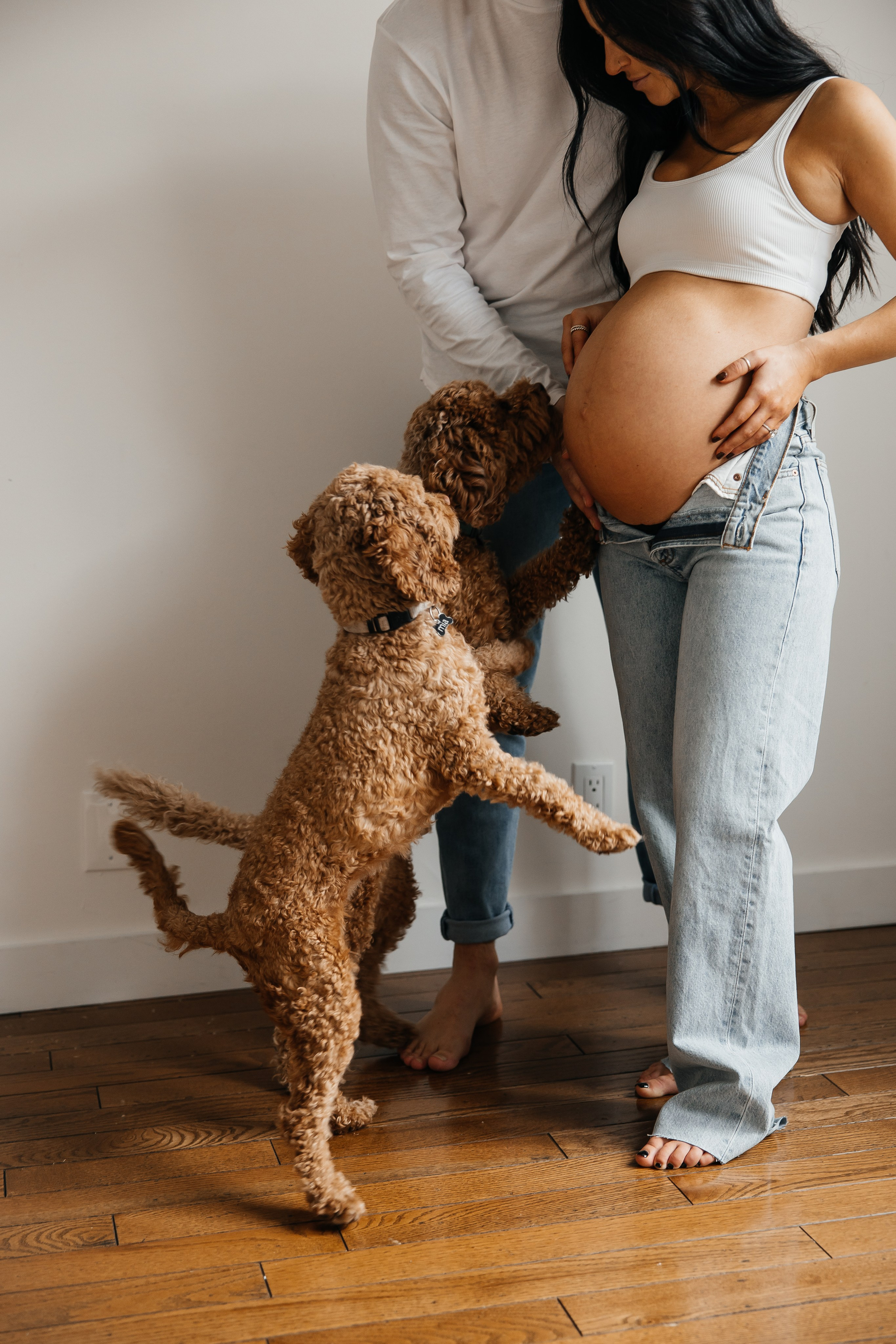Maternity+2 cute dogs