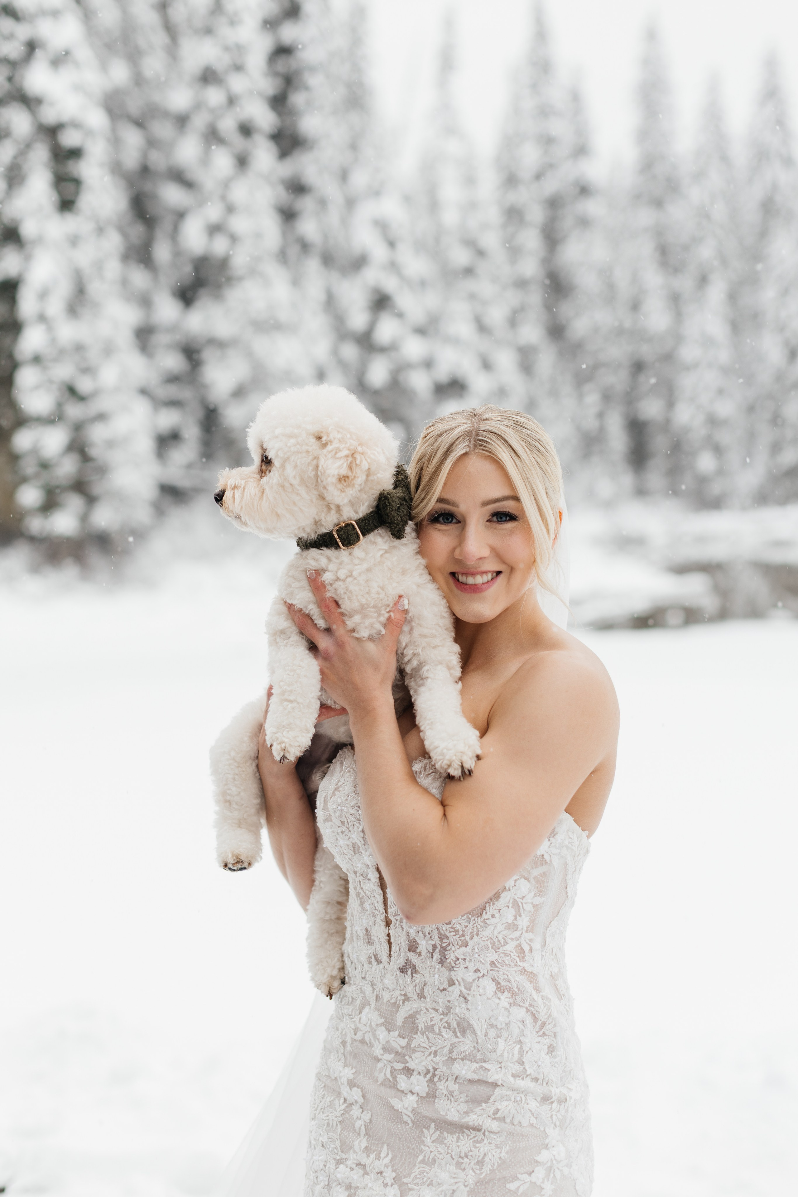 Winter wedding. Emerald lake lodge. Affordable Photographer in Calgary — Tetiana Shuhai