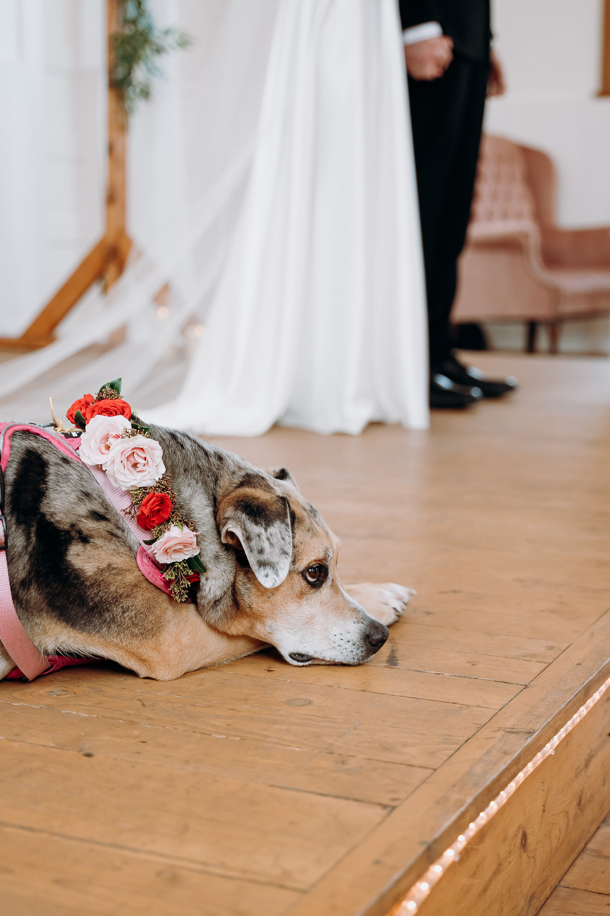 Jane. Affordable Photographer in Calgary — Tetiana Shuhai