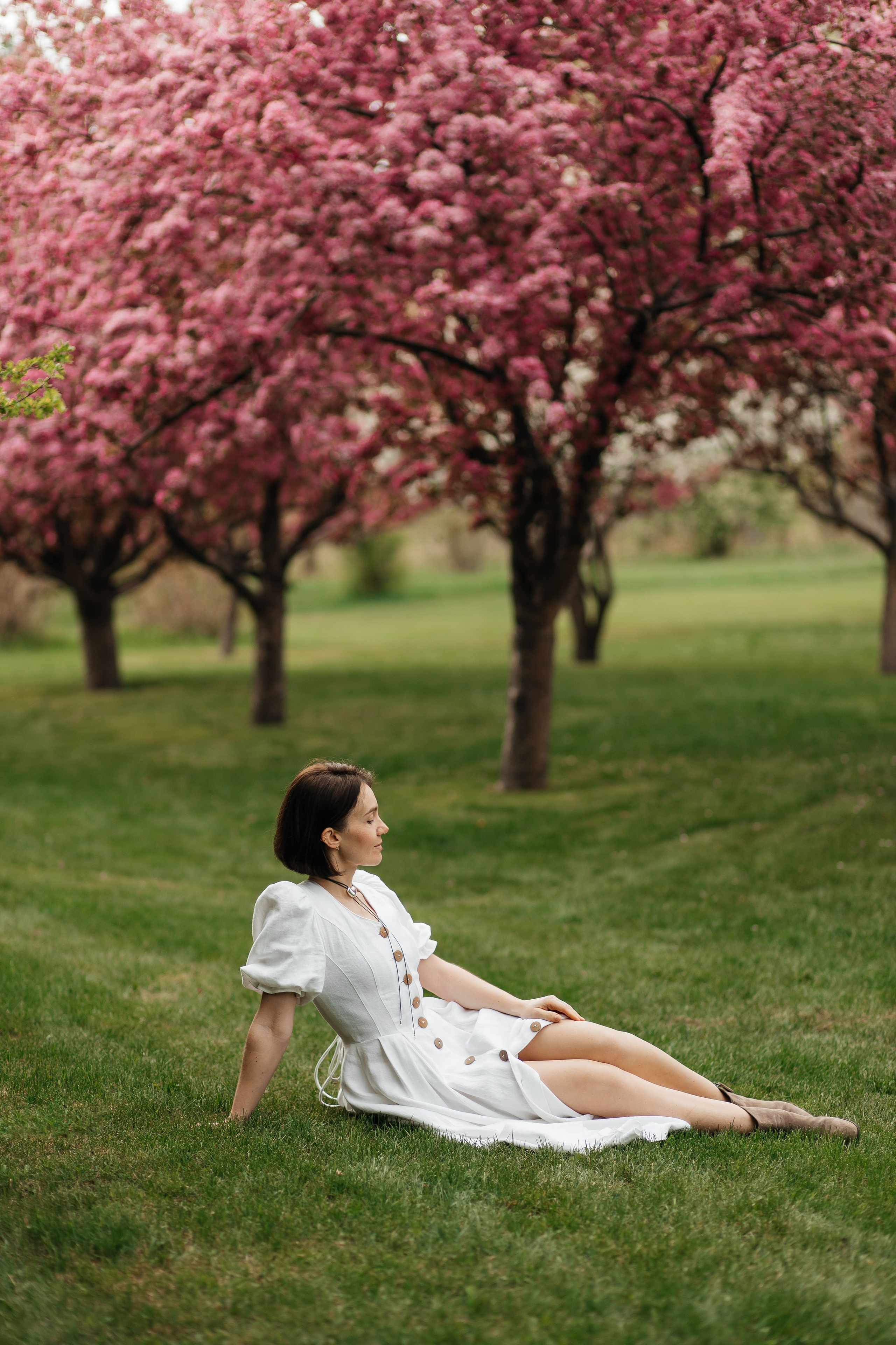 Alevtina. Cherry blossom