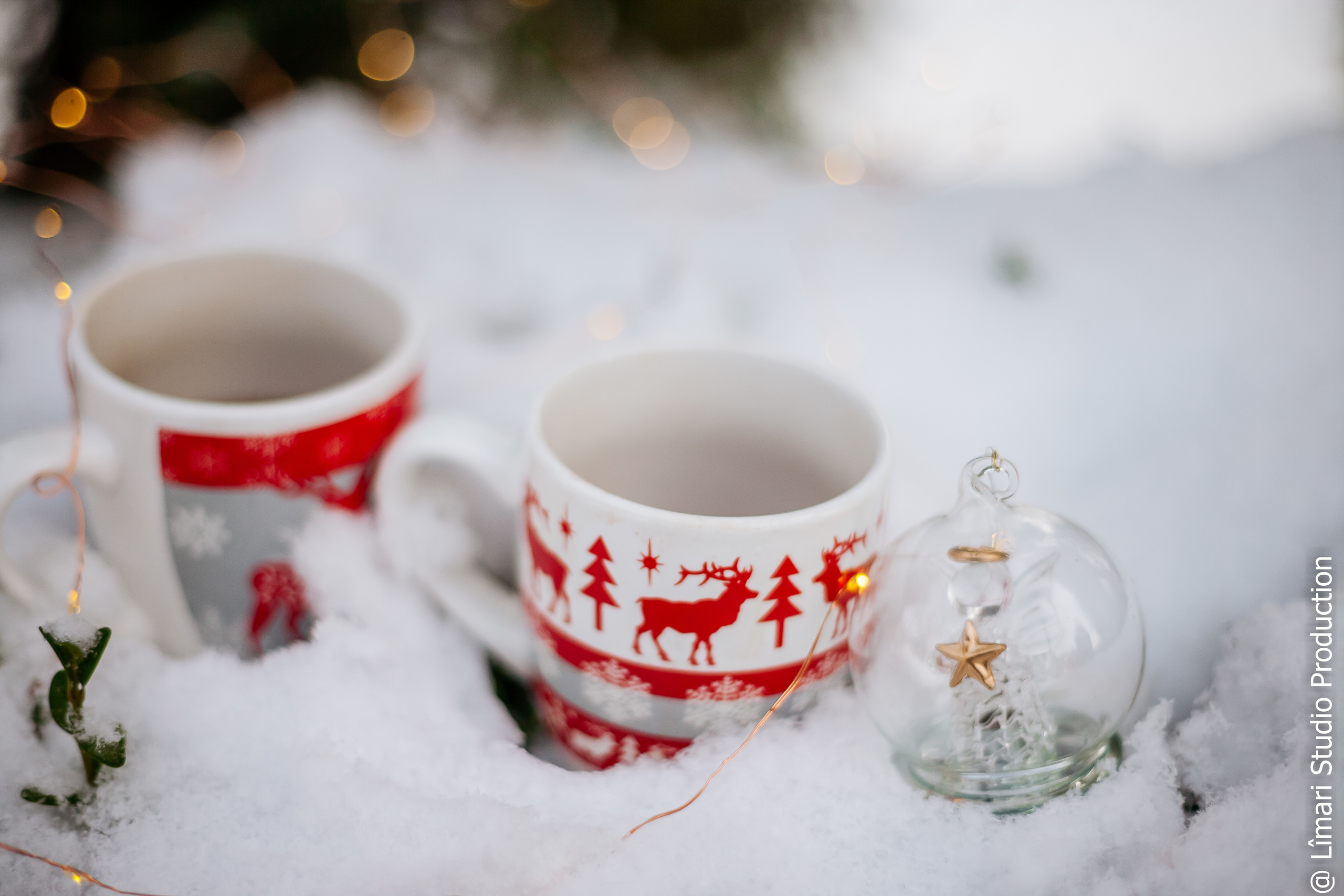 Фотограф молдова. Фото видео в молдове