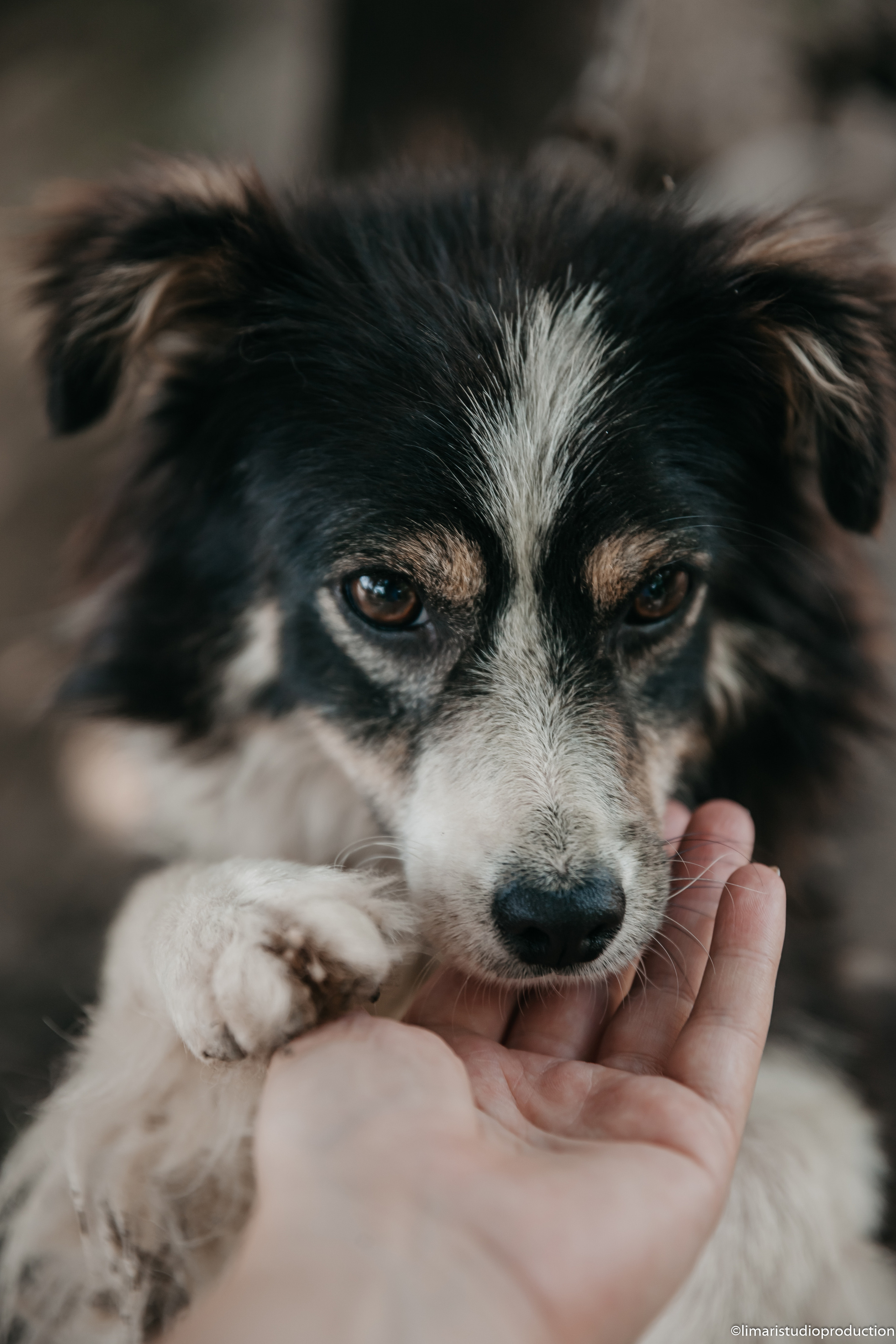 Валентина и Иван. Фото видео в молдове