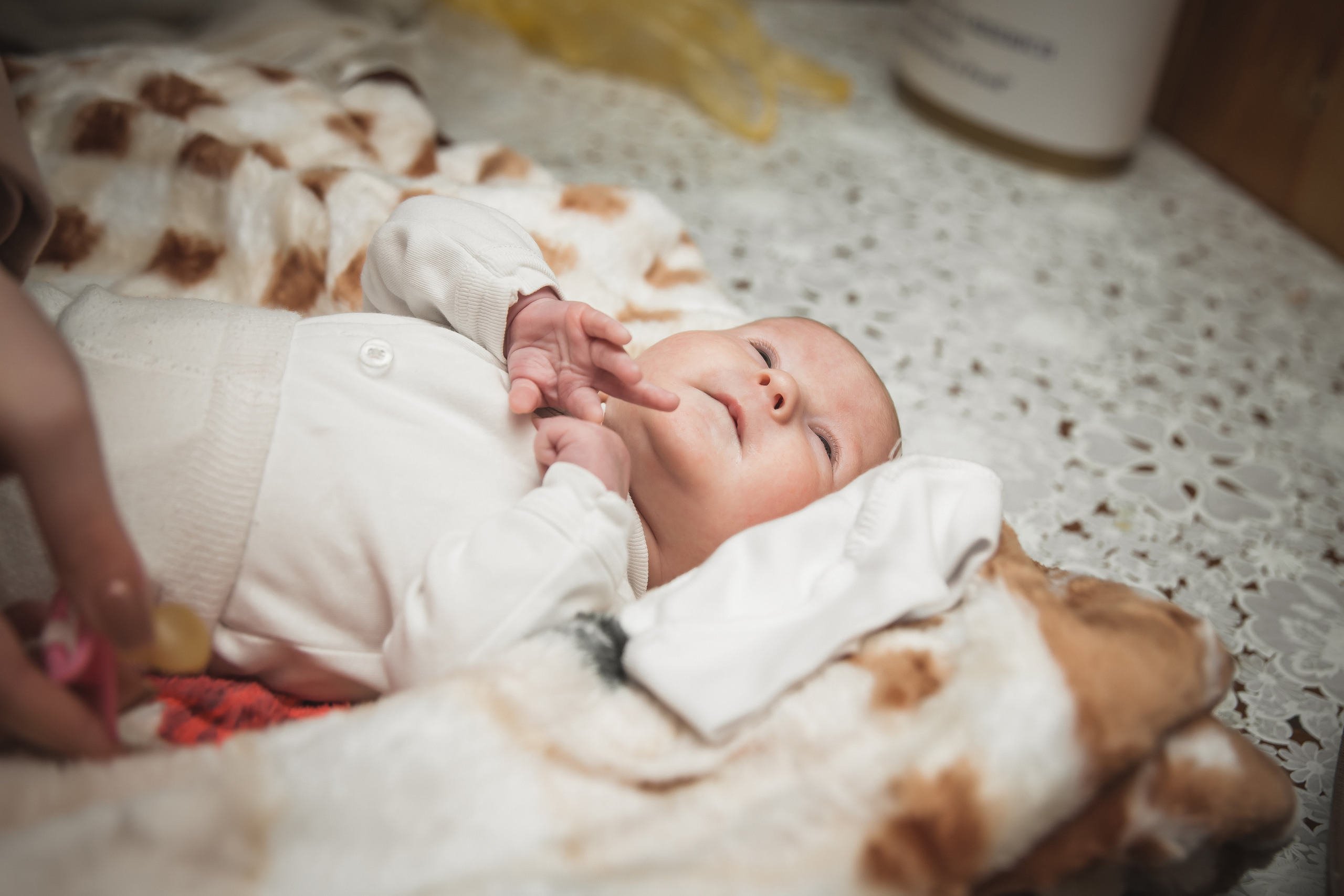 Eva. Фото видео в молдове