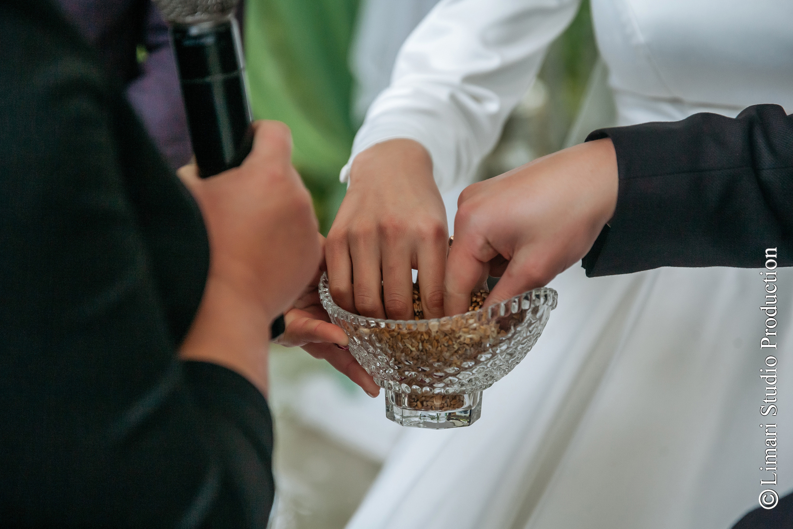 Ovidiu & Otilia. Фото видео в молдове