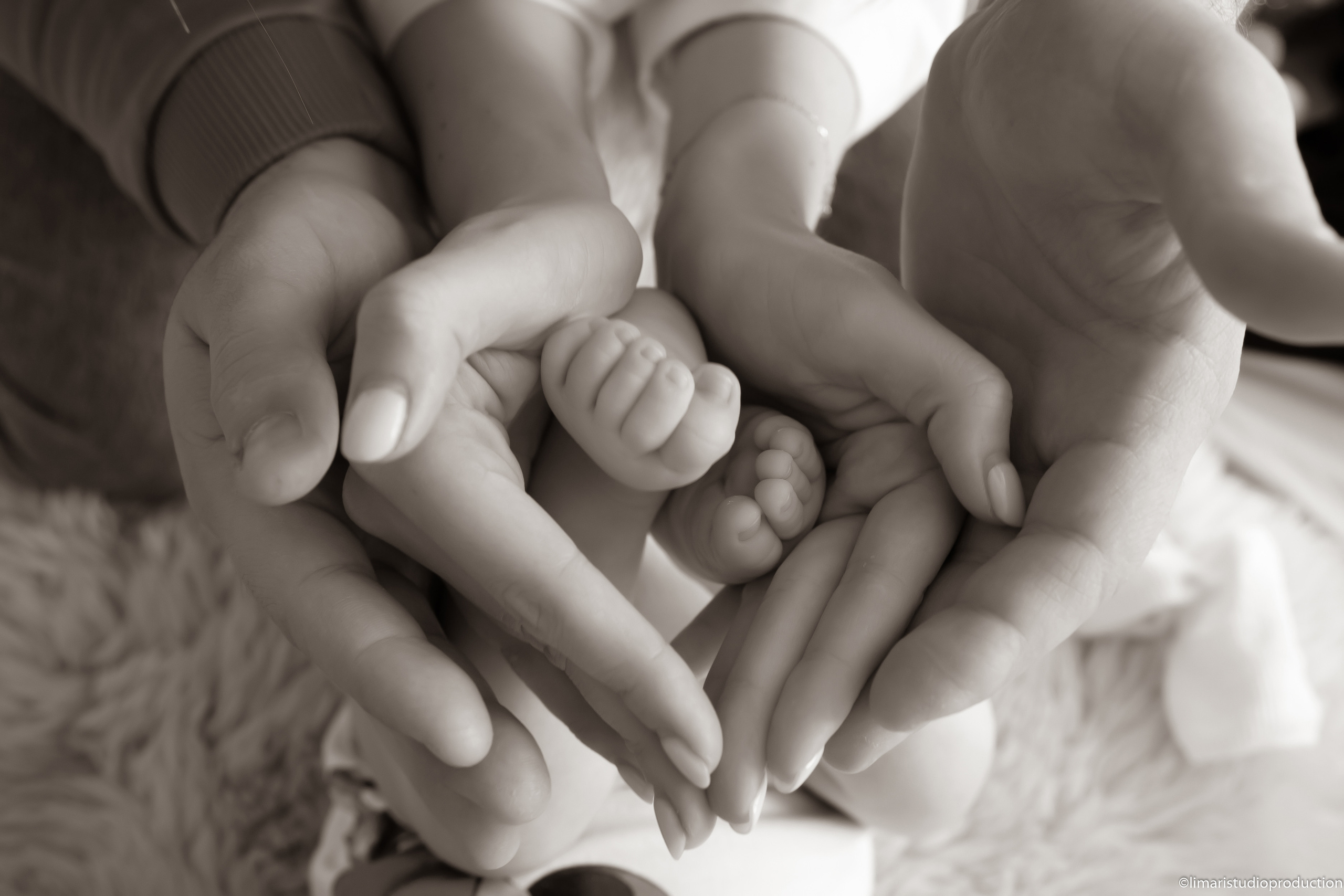 Little Angel. Фото видео в молдове