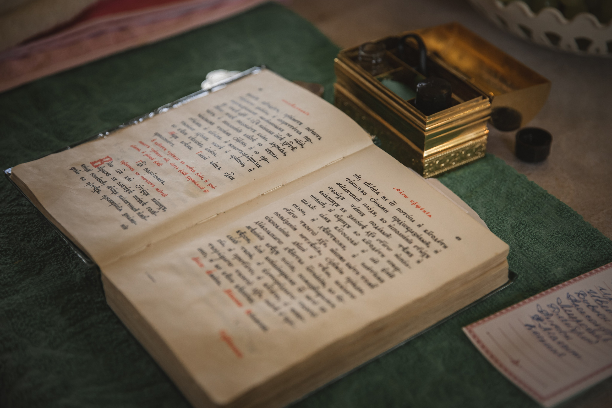 Sofia. Фото видео в молдове